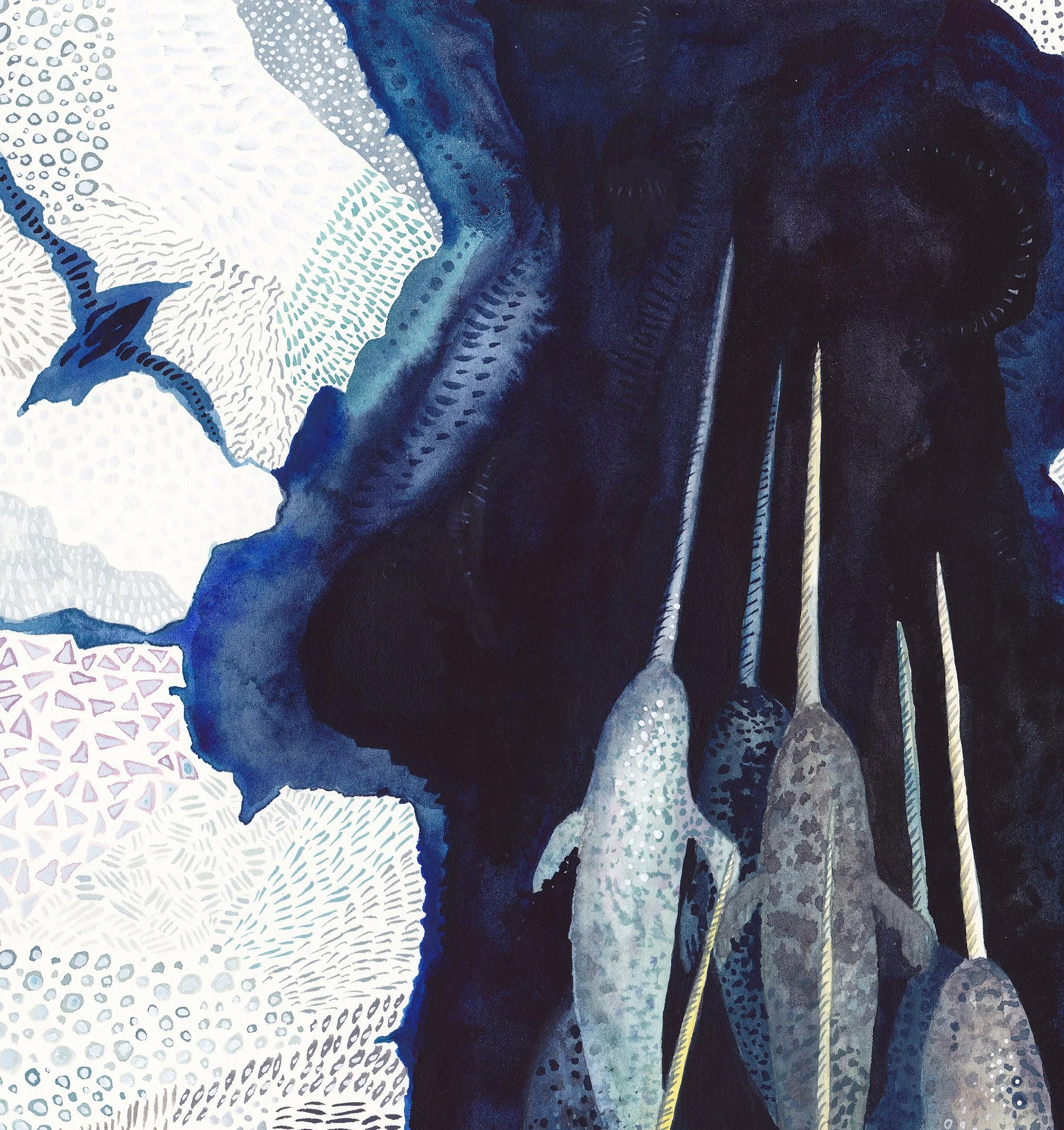 Narwhal detail 4.jpg