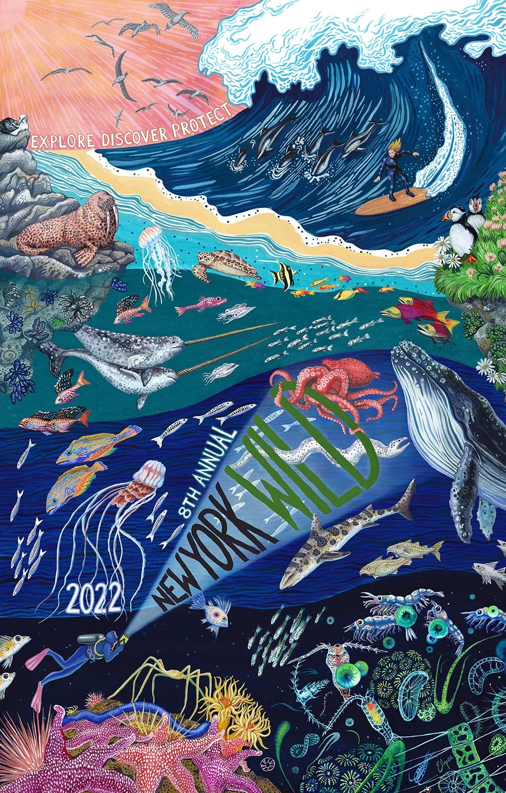 Poster and Program illustration for New York Wild Film Festival 2022
