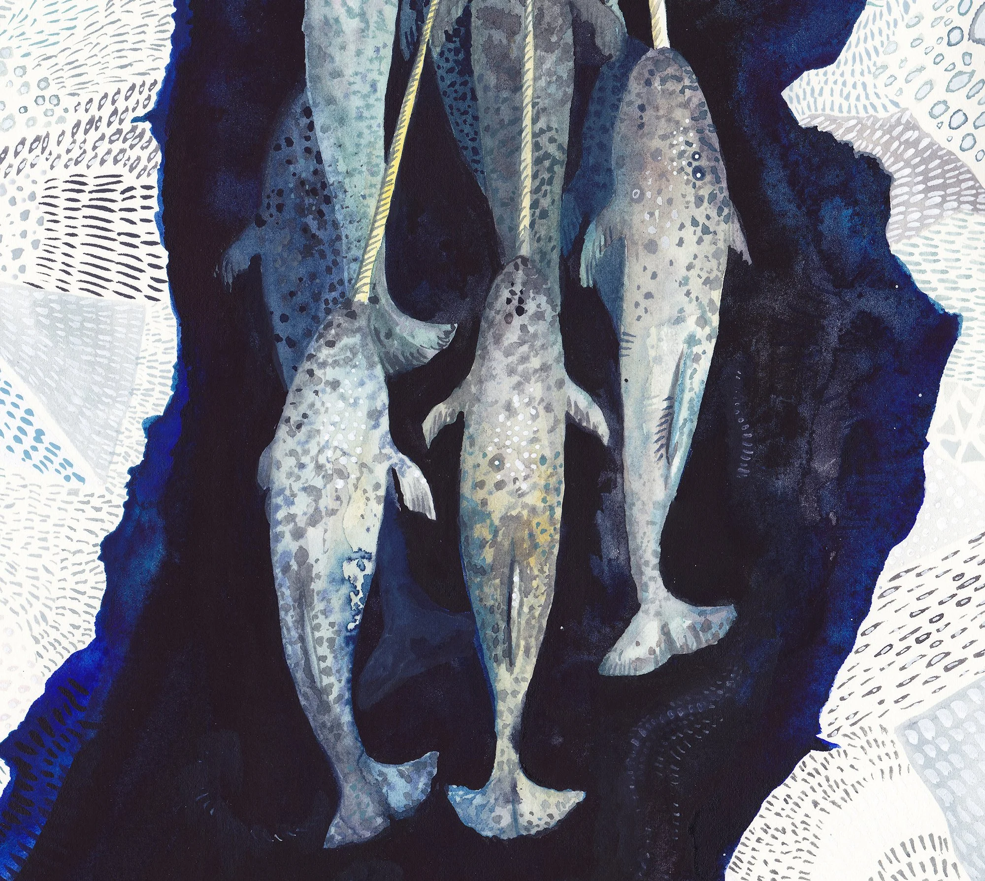Narwhal detail 2.jpg