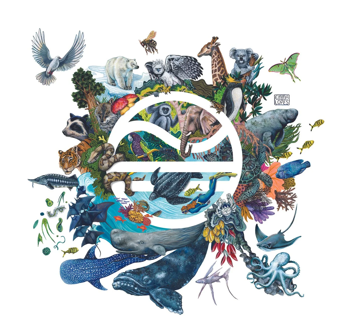 Collaboration with For Nature 2026