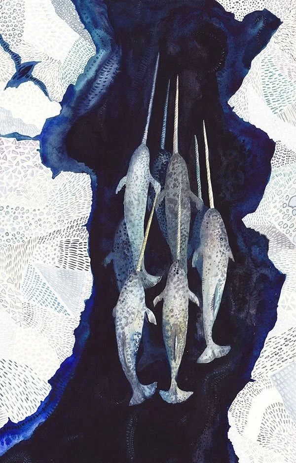 Narwhal- Watercolour and gouache on paper