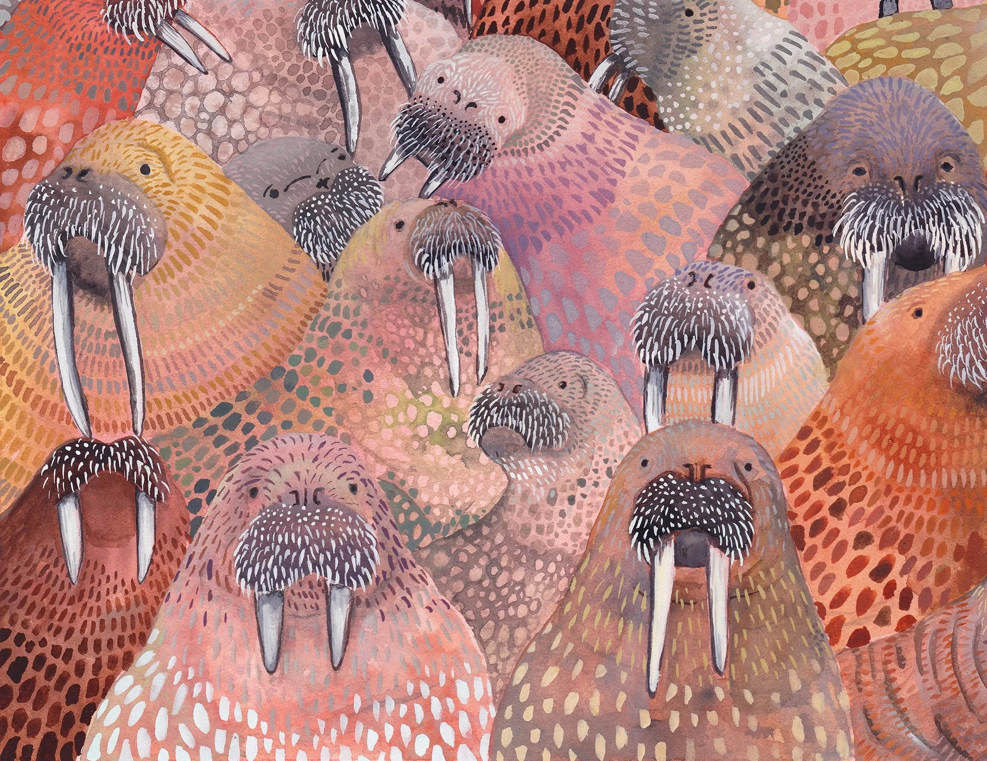 walrus 4.jpg