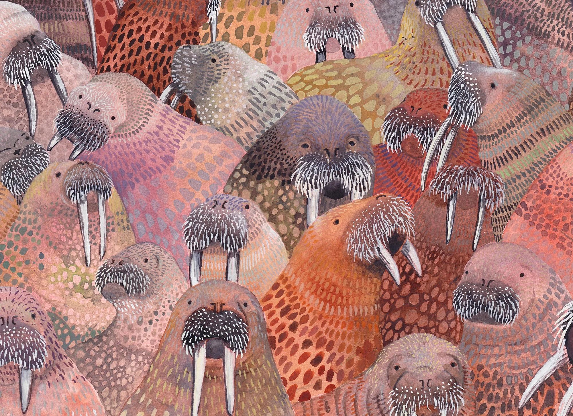 walrus 5.jpg