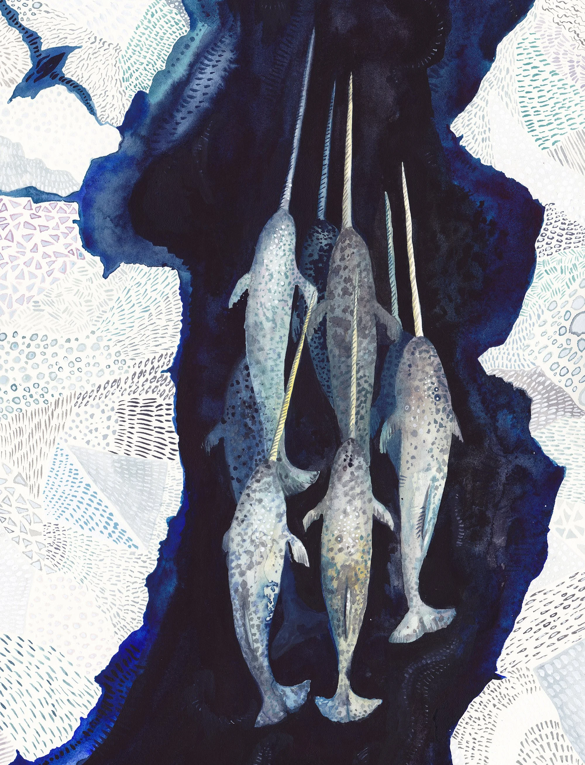 Narwhal detail 1.jpg
