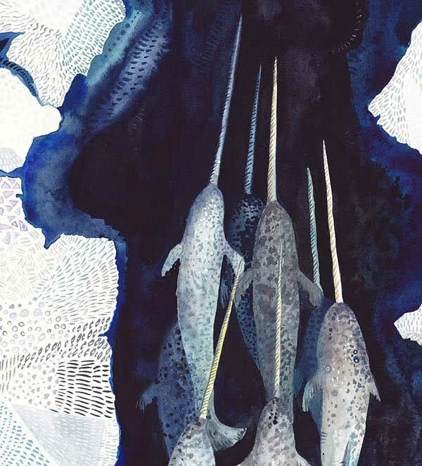 narwhol-detail-upload.jpg
