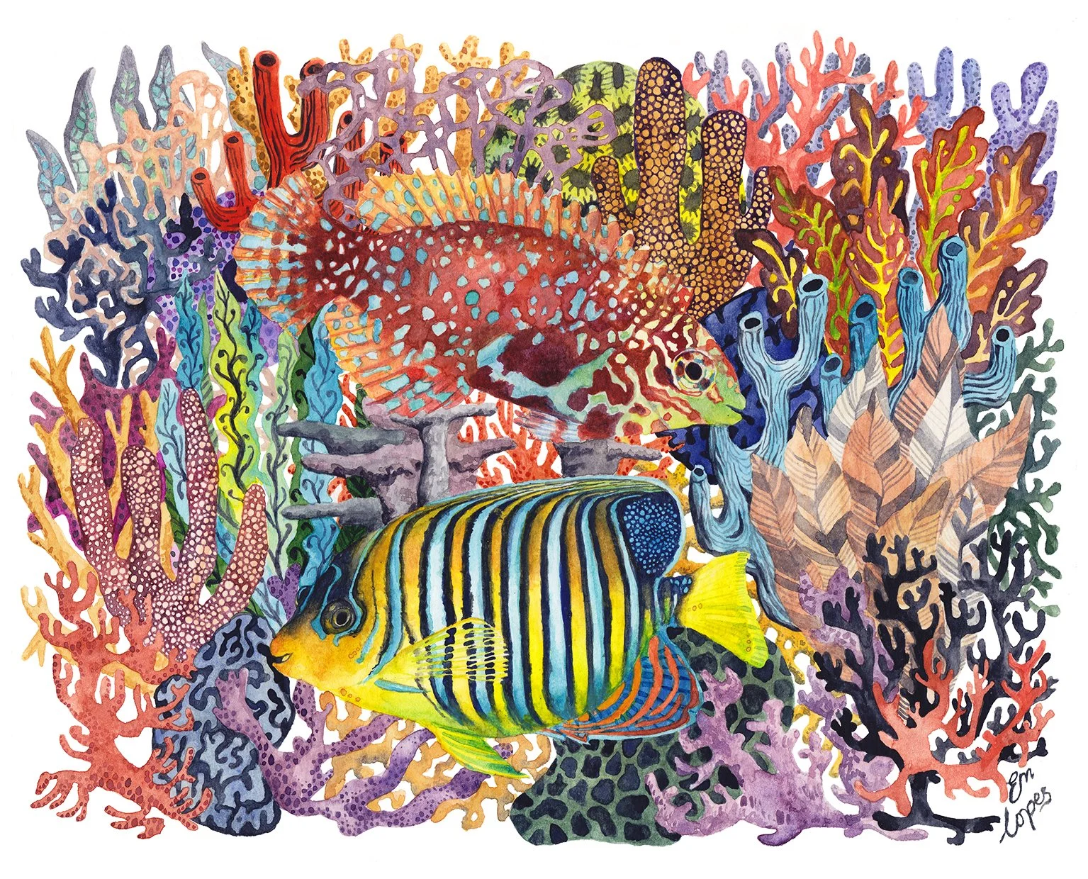 regal angel fish and peacock gudgeon fish uplaod.jpg