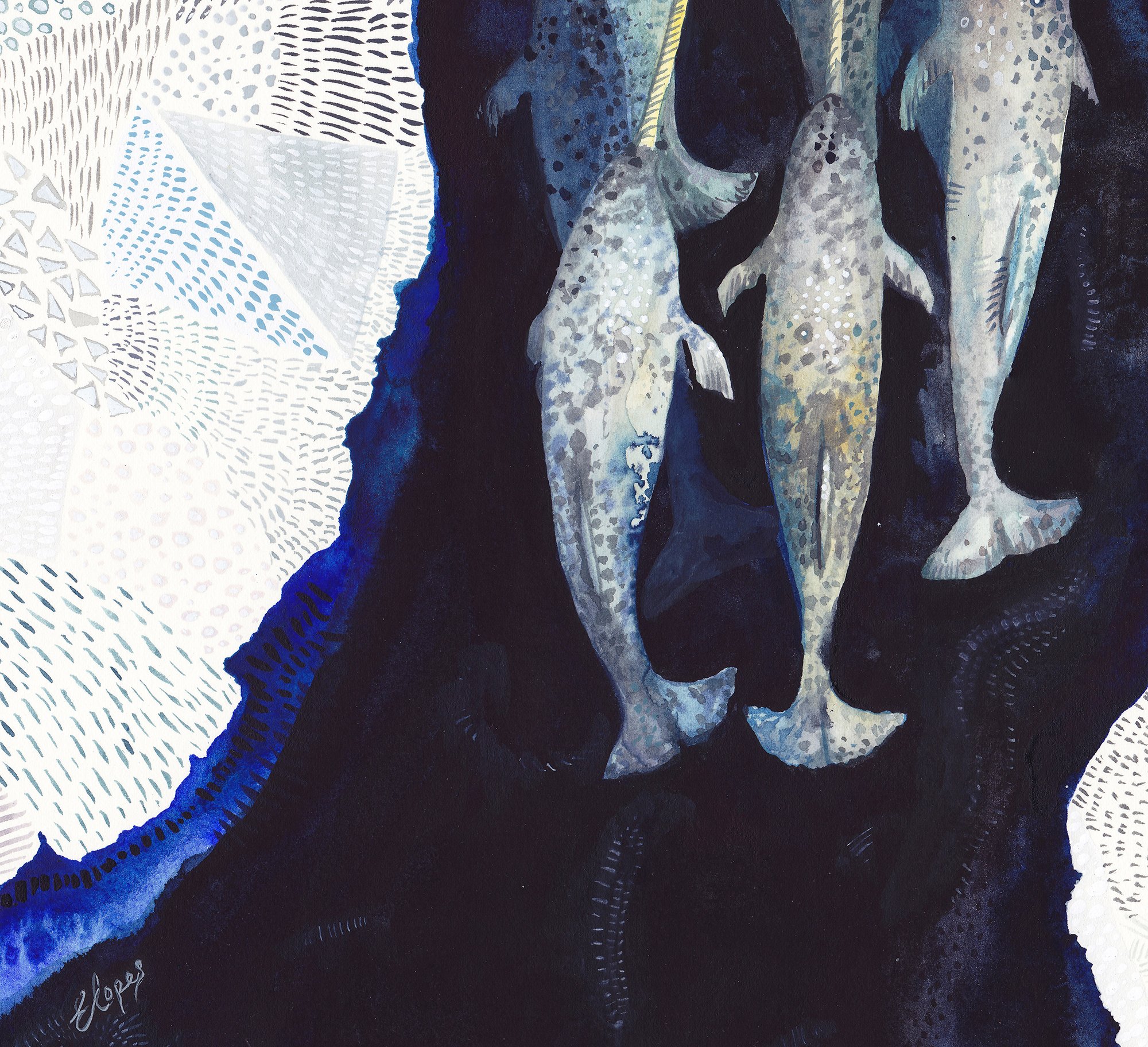 Narwhal detail 6.jpg