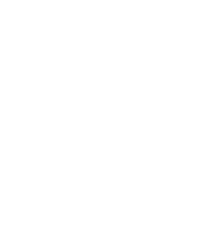 Bice Ristorante Naples