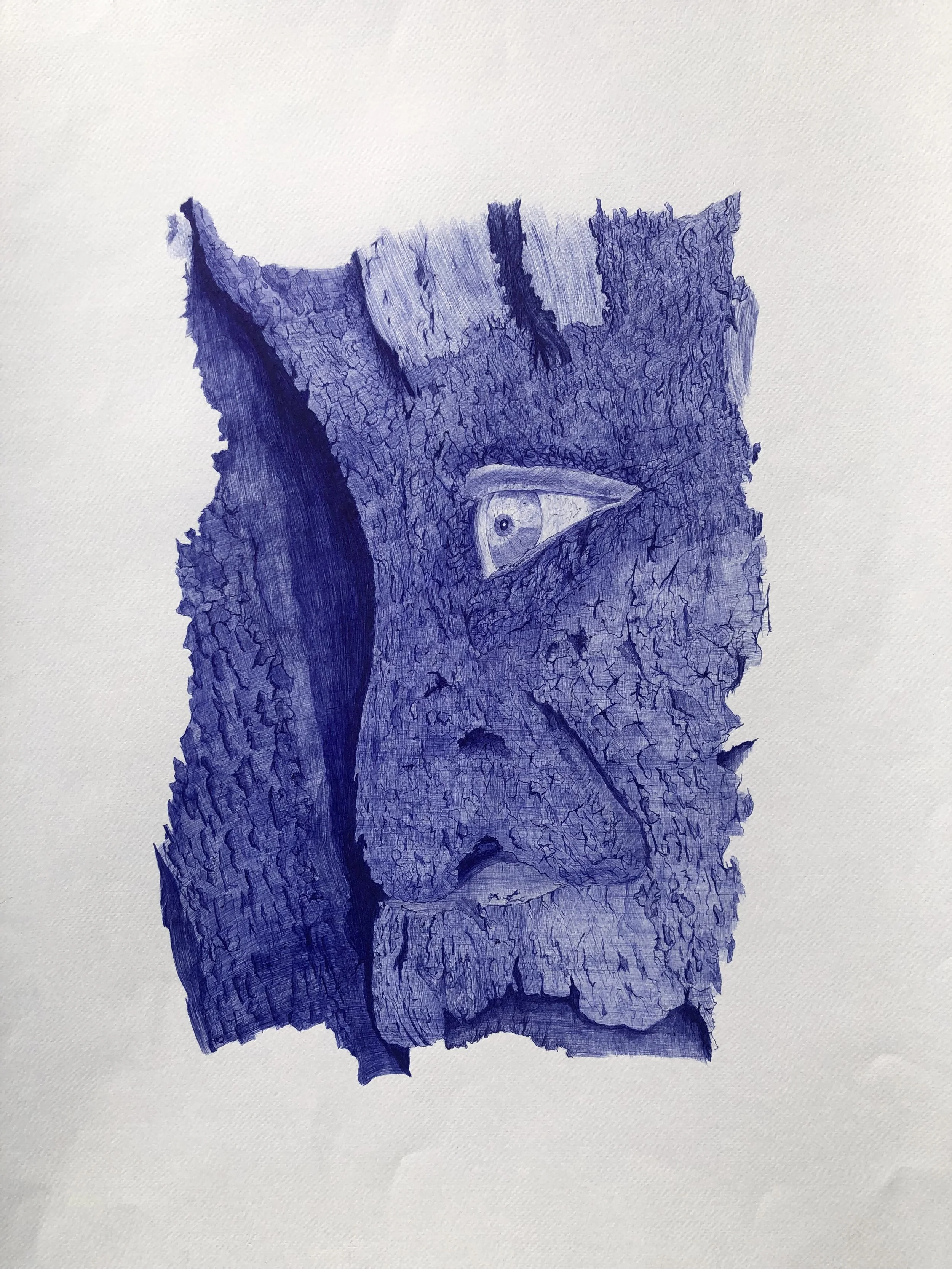 Regard enfoui
Stylo bille bleu sur papier — 72 × 52 cm
Cette œuvre s'inscrit dans une recherche poétique sur la fusion entre le règne végétal et la présence humaine.