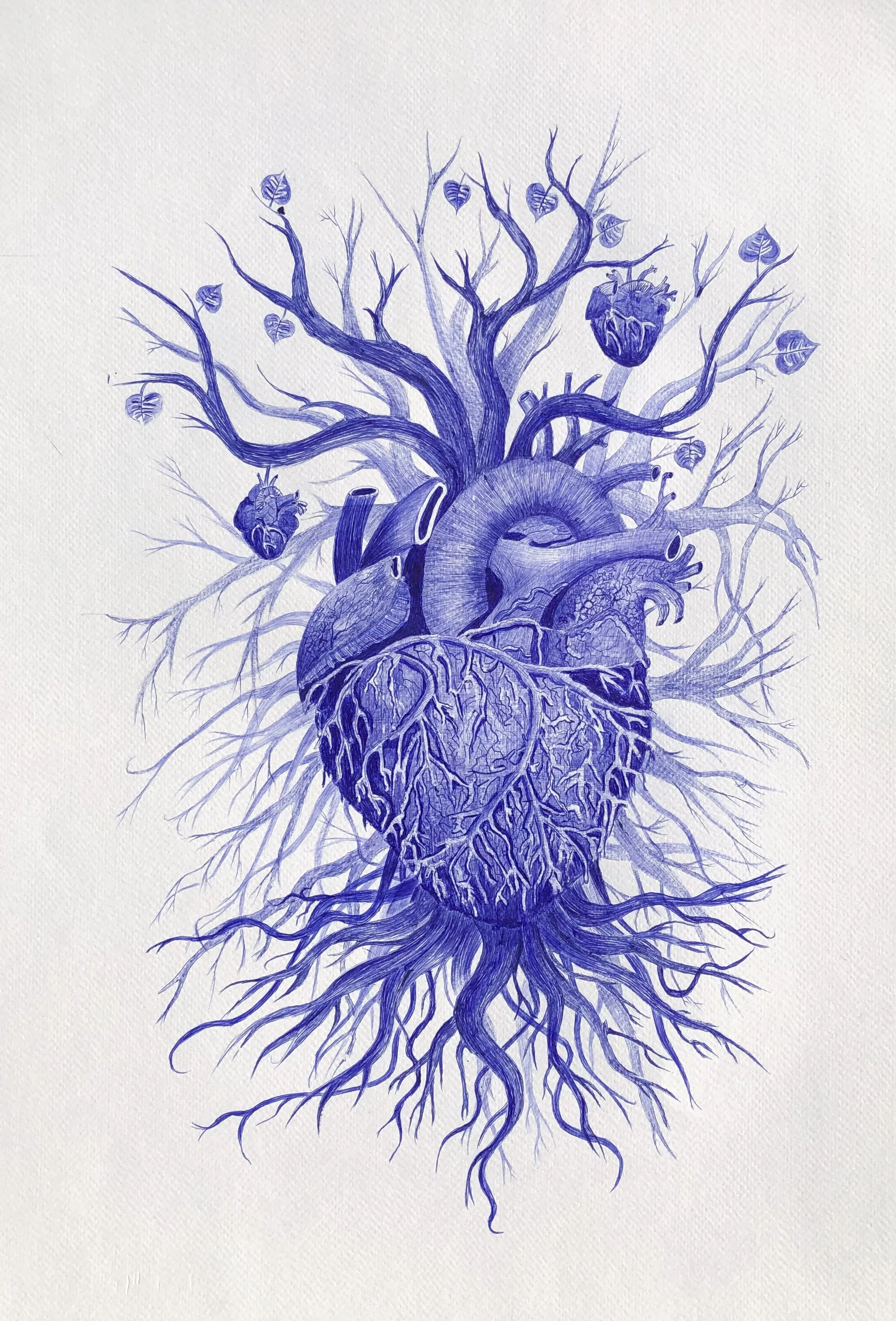 L’Arbre cœur
Stylo bille bleu sur papier — 52 × 42 cm
Cette composition fascinante propose une fusion métaphorique entre l'anatomie humaine et la structure du monde végétal.
