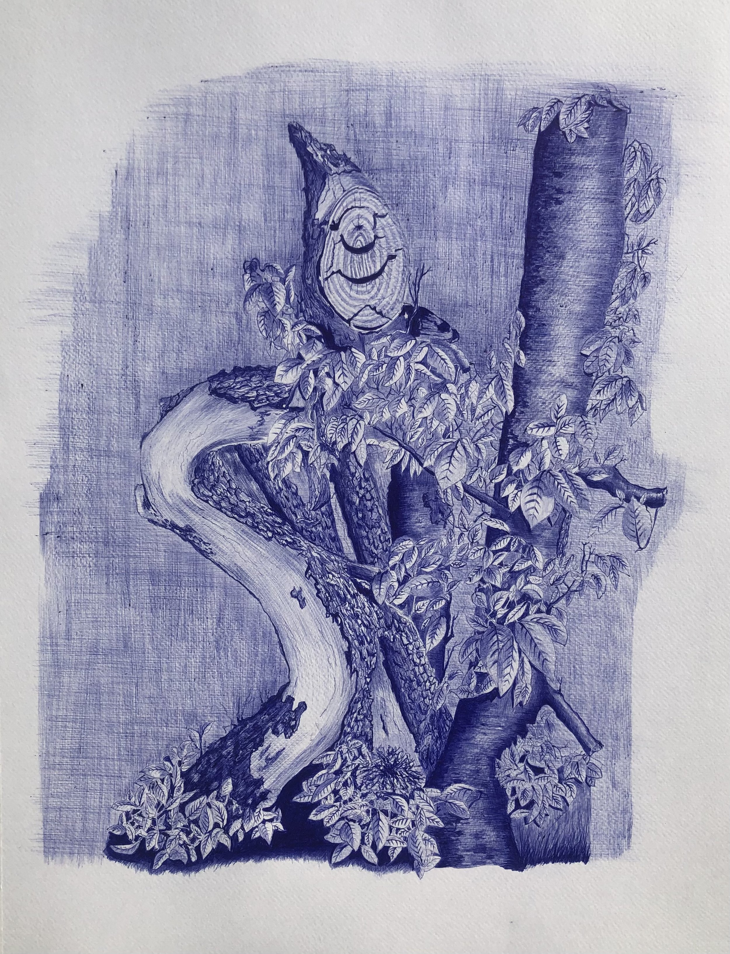 L’Esprit de la forêt
Stylo bille bleu sur papier — 52 × 42 cm
Cette étude naturaliste et fantastique met en lumière la poésie cachée au cœur des sous-bois et la magie de la régénération végétale.