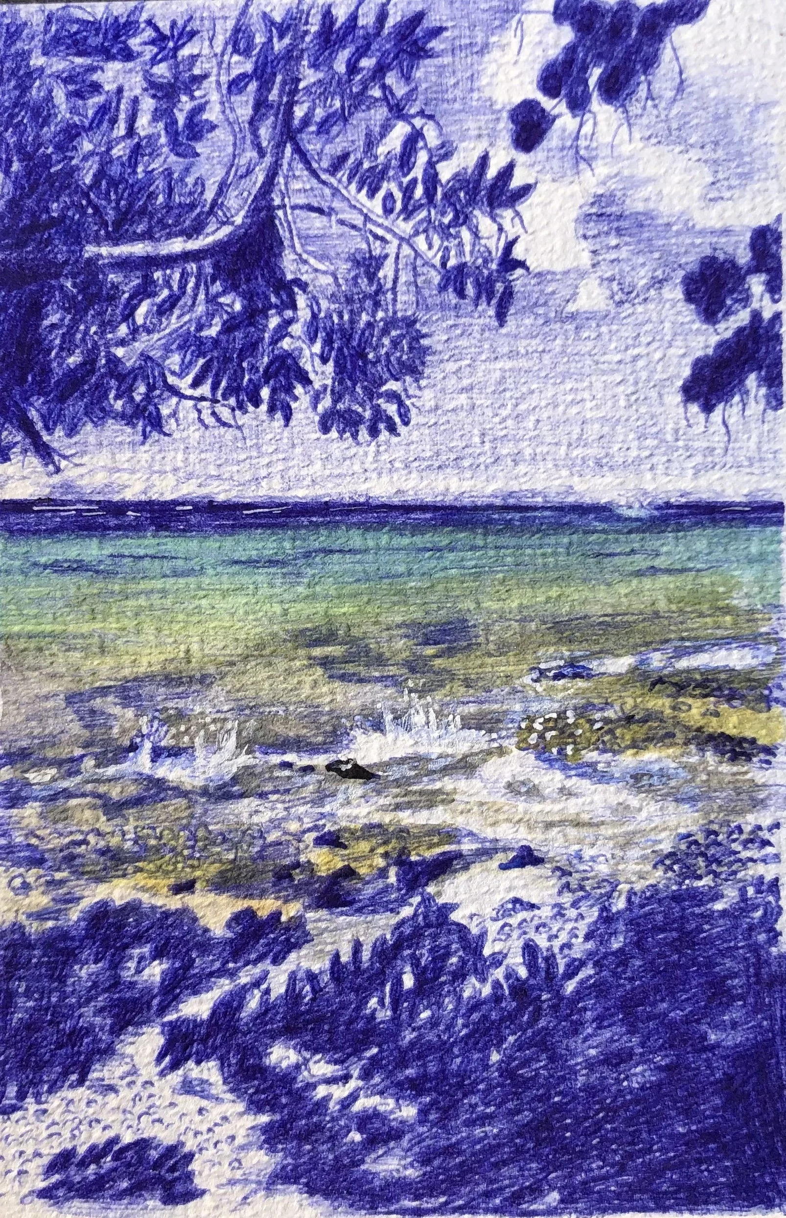 IMG_7371.jpeg
