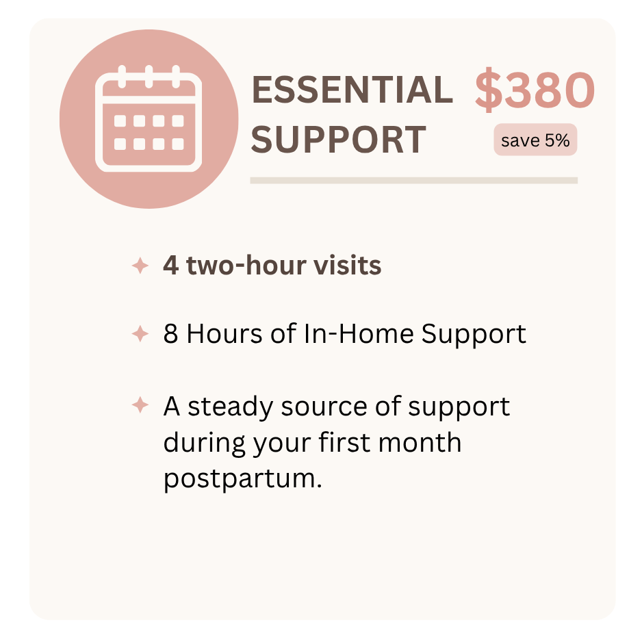 Information about a support plan costing $380, offering 4 visits of 2-hour weekly sessions over 4 weeks, with benefits like reliable weekly support, practical help, and time for rest and recovery.