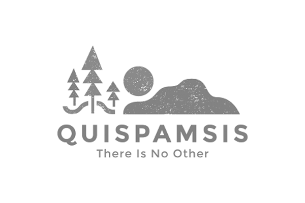 Logo with trees, a sun, and a mountain, with the text 'QUISPAMSIS' and the tagline 'There Is No Other'.