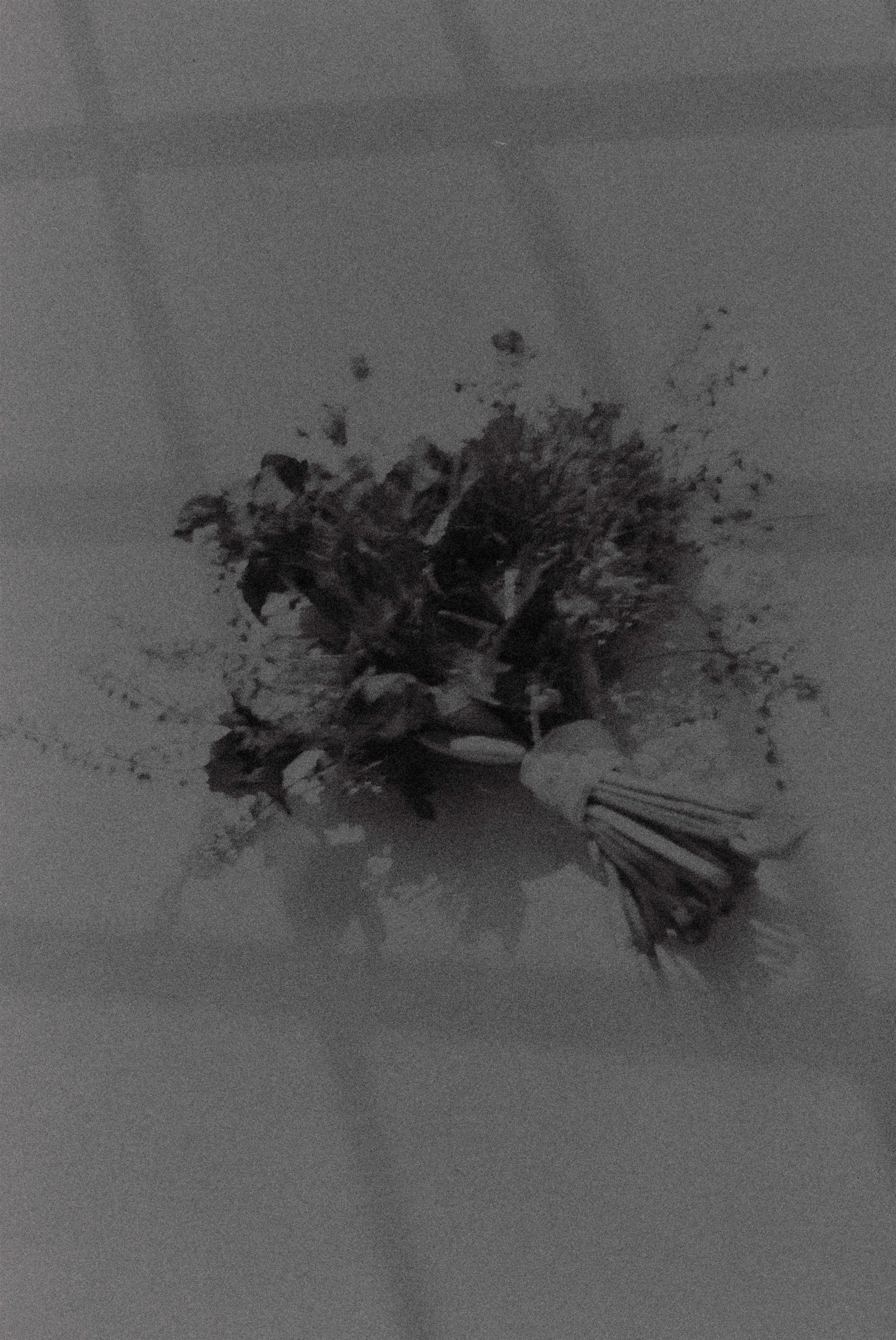 Black and white photo of a wedding bouquet by Emma Phoenix flowers.