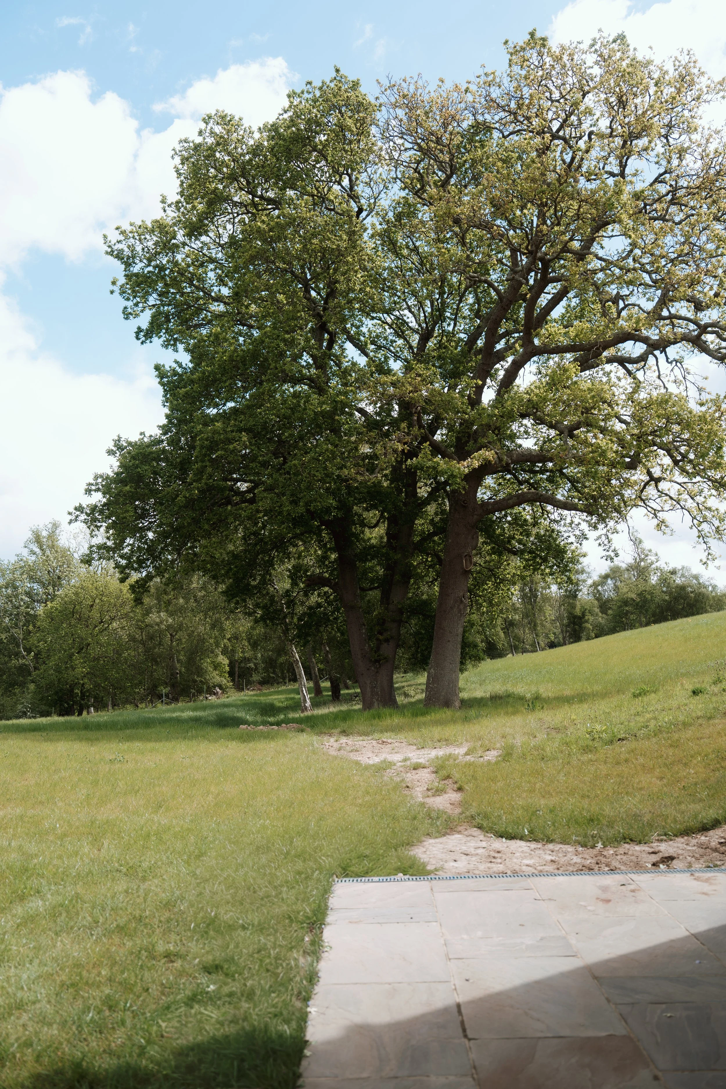 Greentrees Estate Editorial-7.jpg
