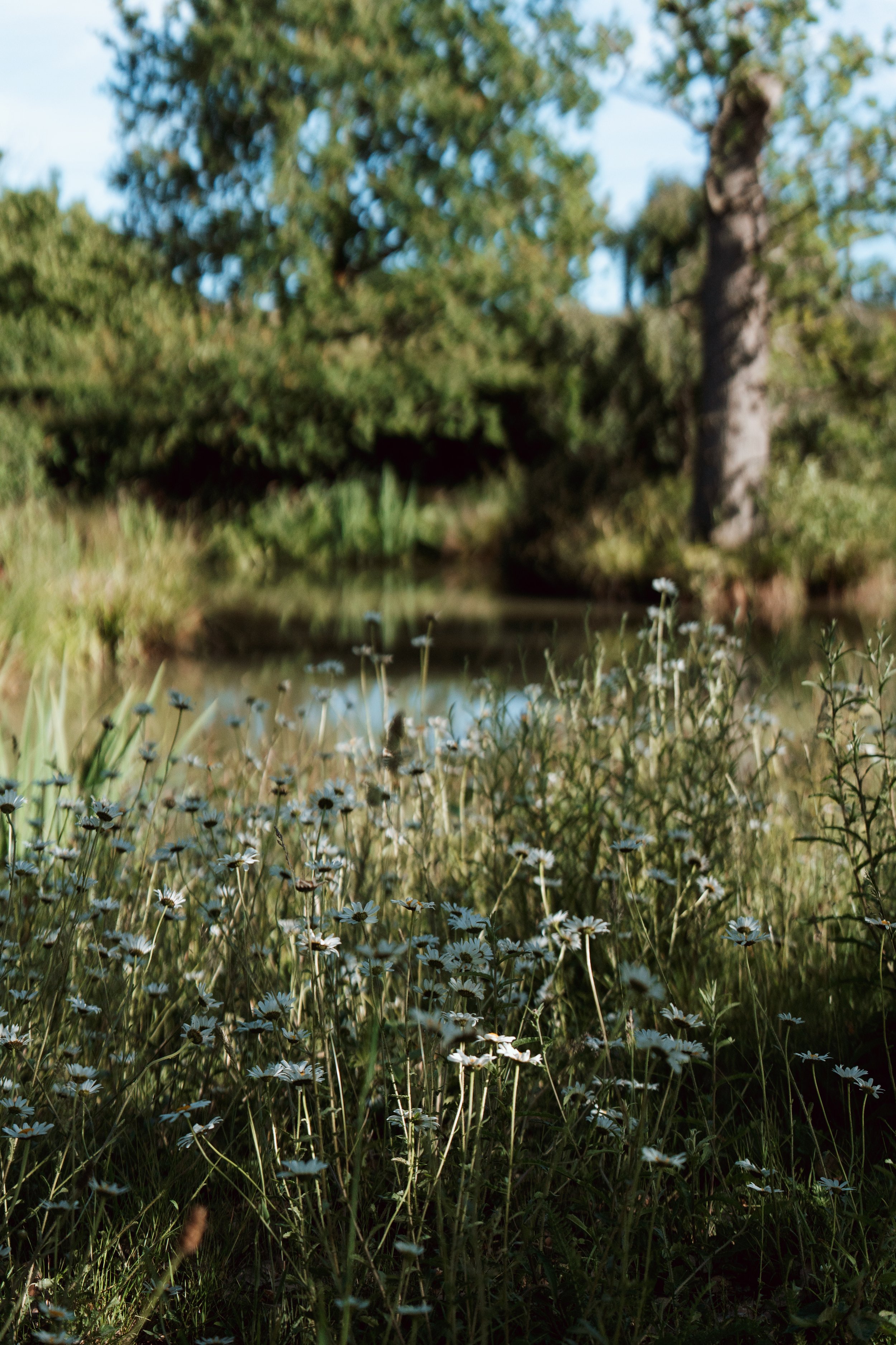 Kent_Marquee_Wedding-55.jpg