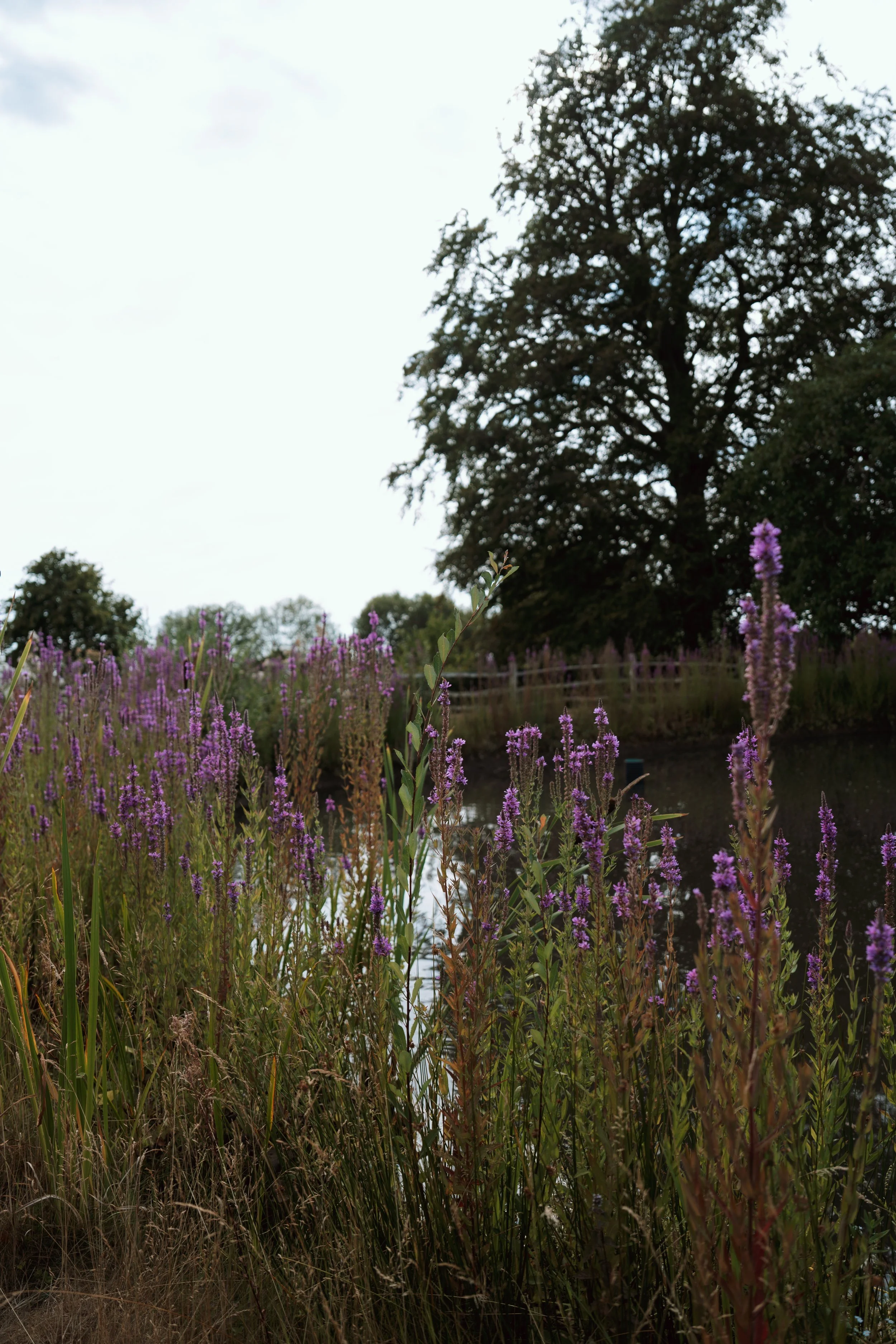 Hendall Manor Barns-51.jpg