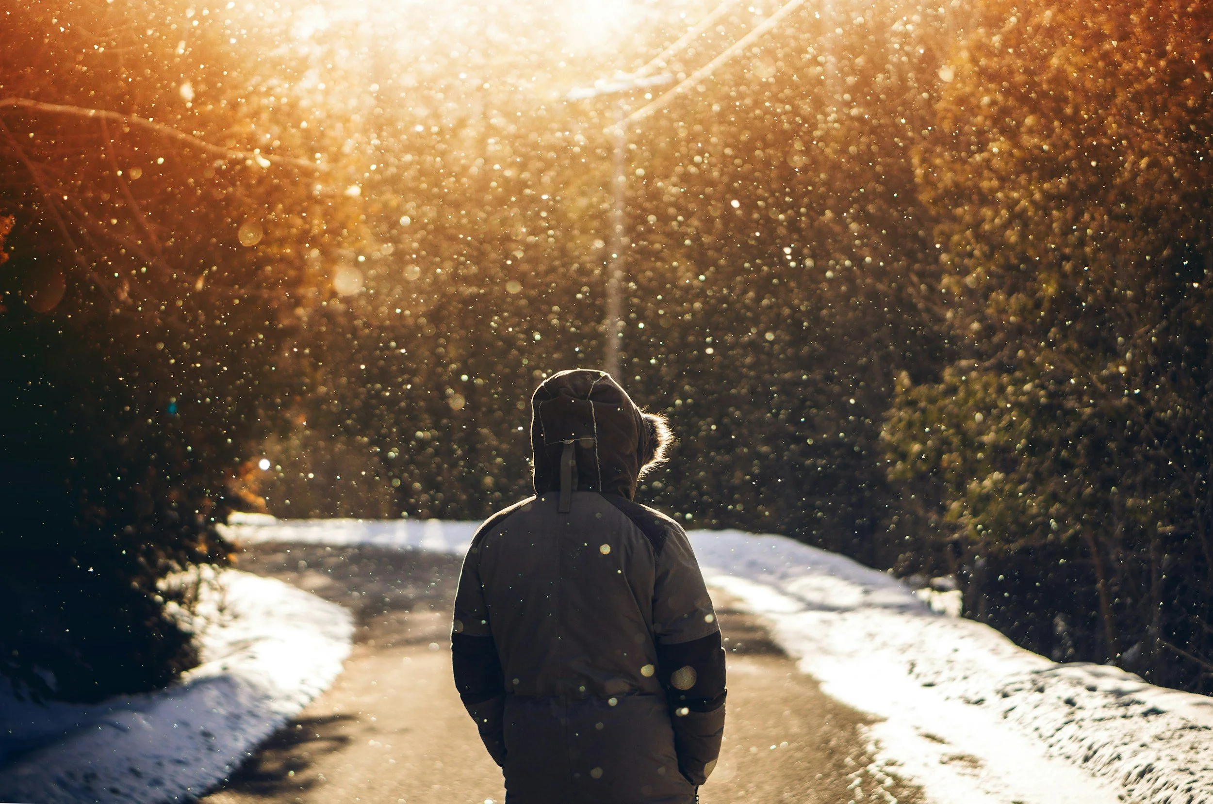 Ways to Improve Seasonal Depression