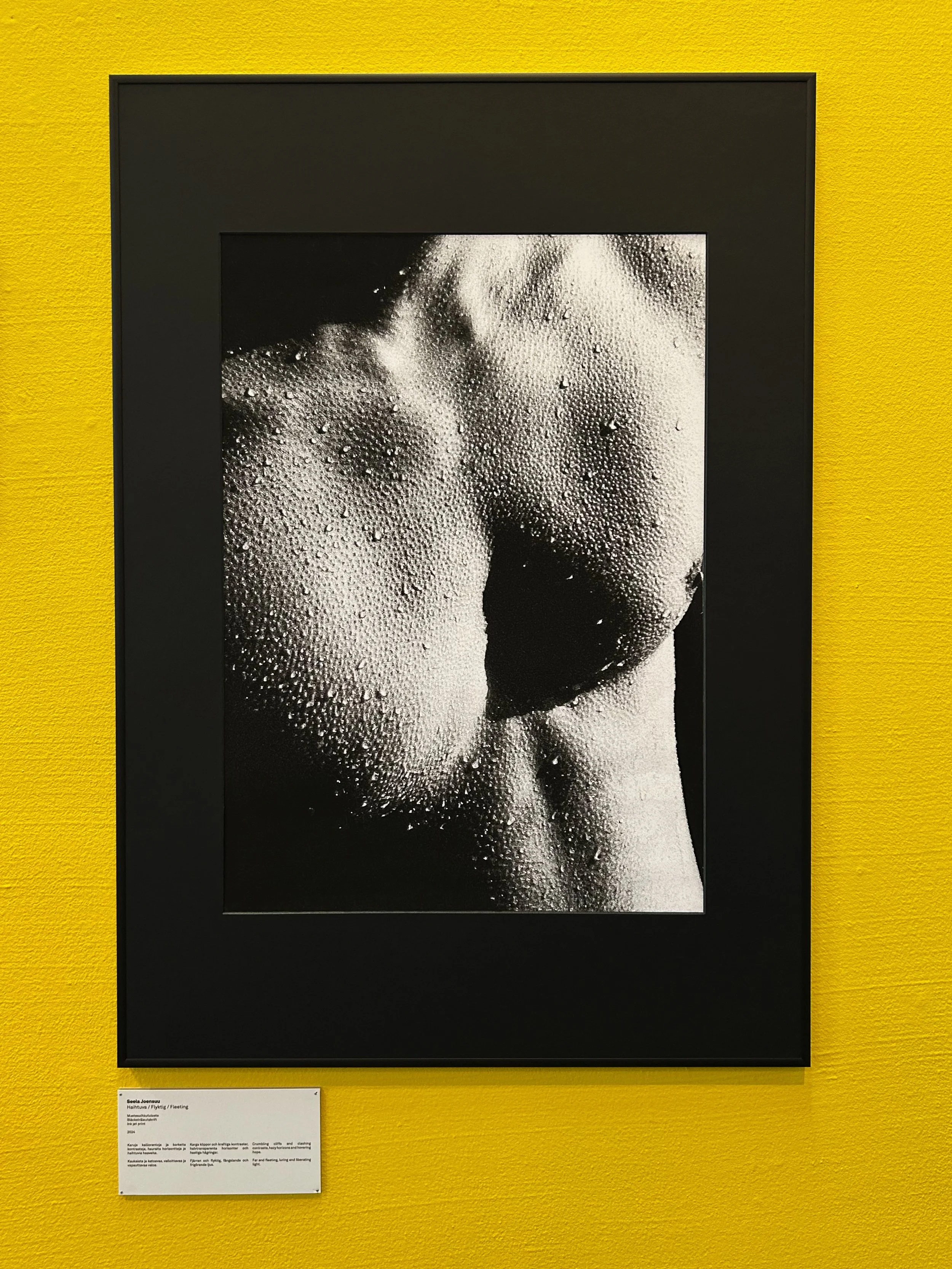 18 (Portfolio 2026).JPG