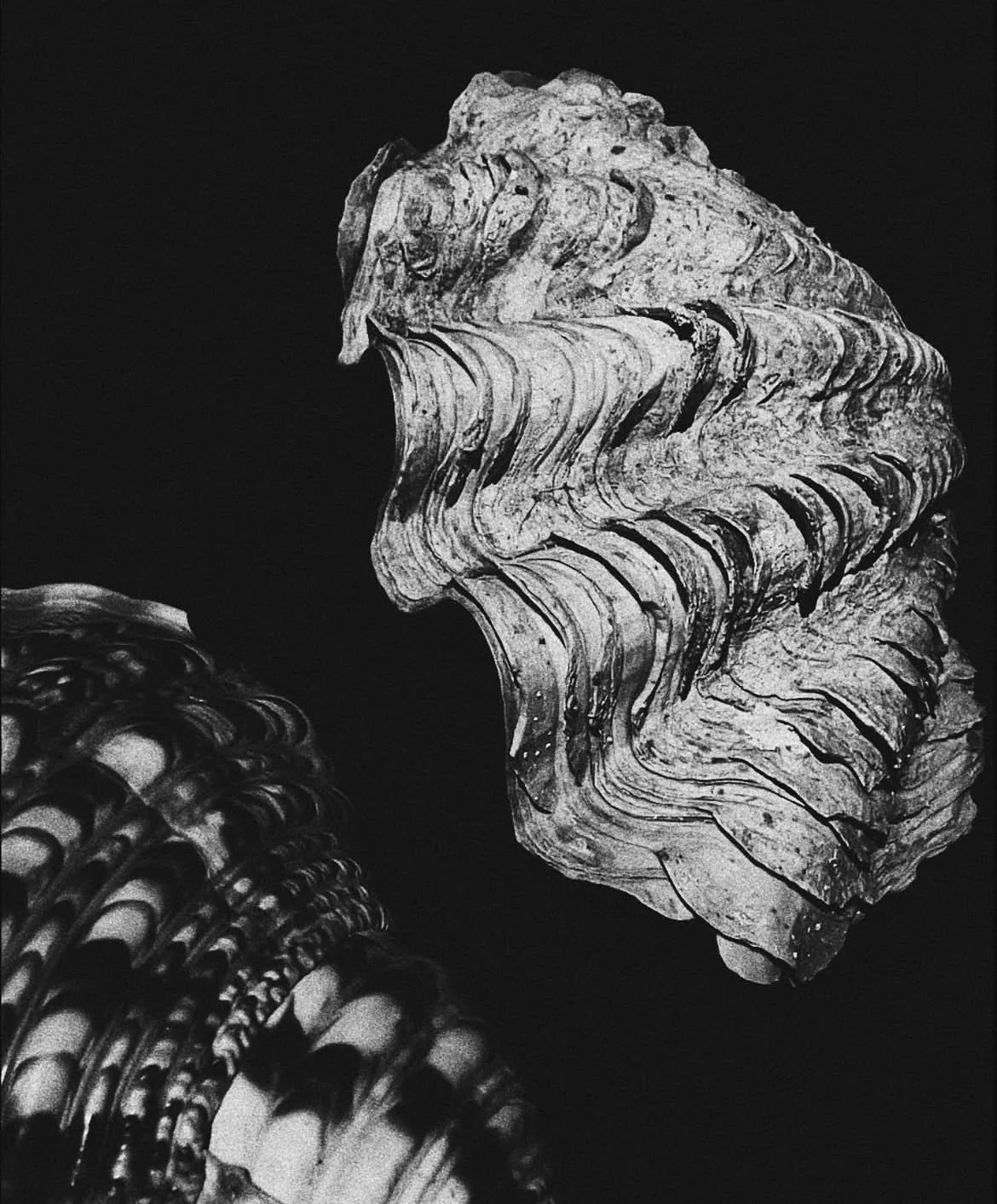 6 (Portfolio 2026).jpg