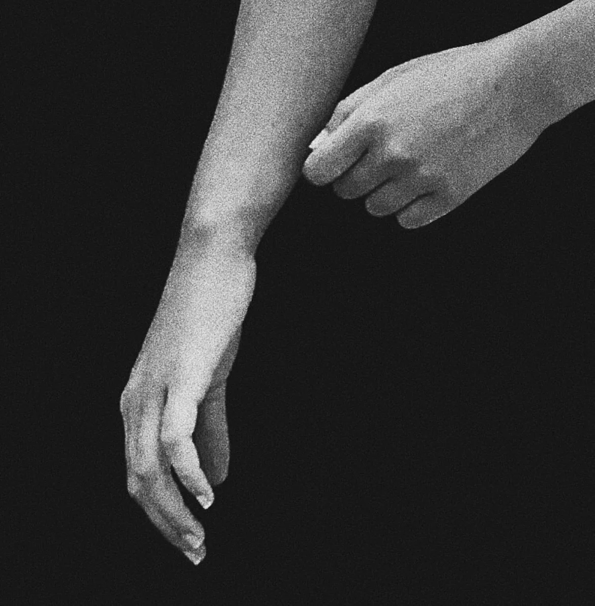 4 (Portfolio –26).jpg