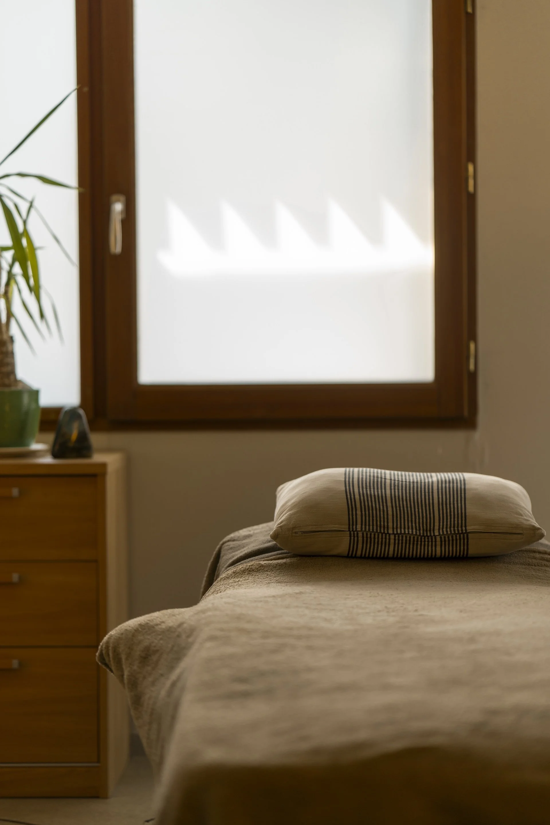 Chambre avec un lit, une fenêtre laissant entrer la lumière, une plante en pot sur une table, et une commode en bois.