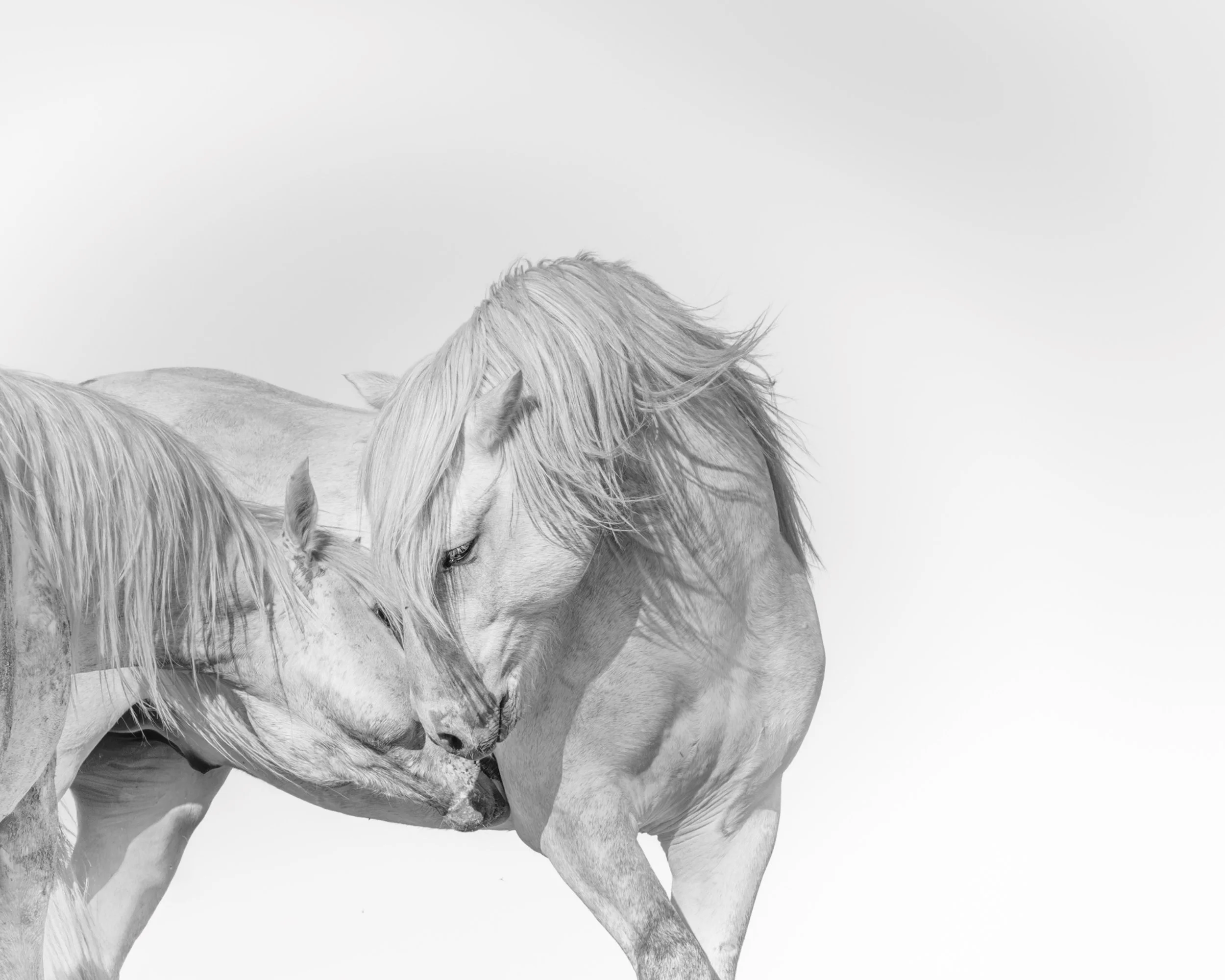 Kindred Spirits