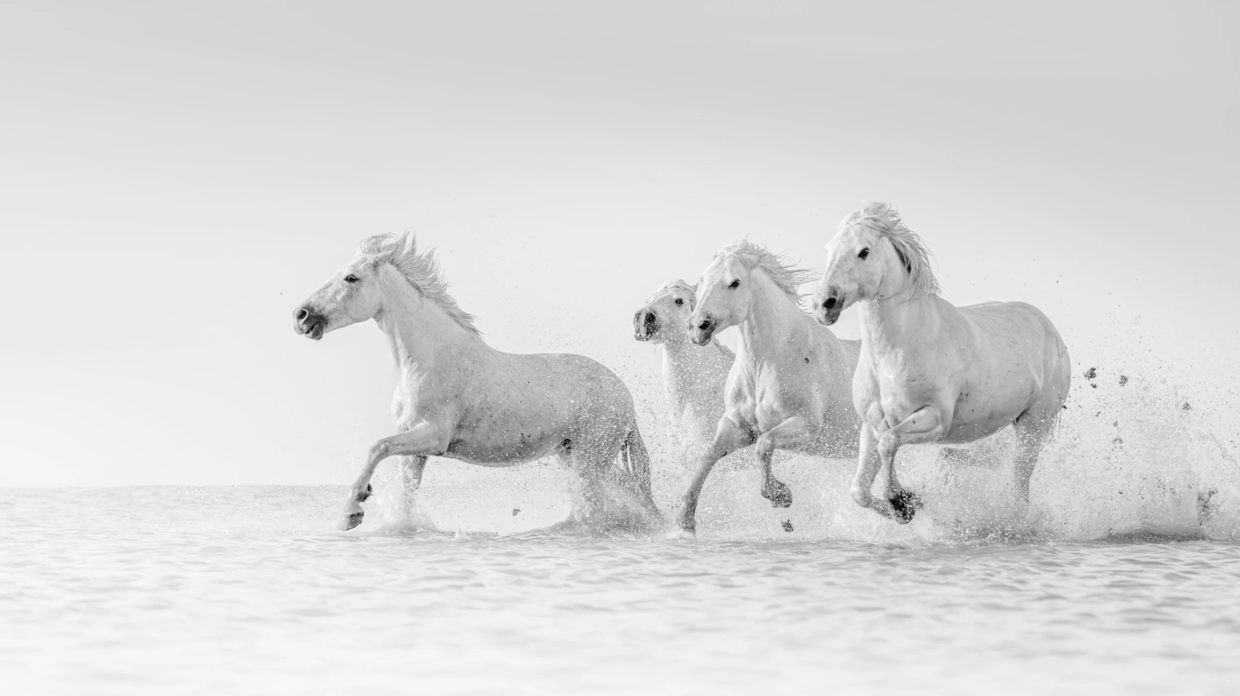 The Charge