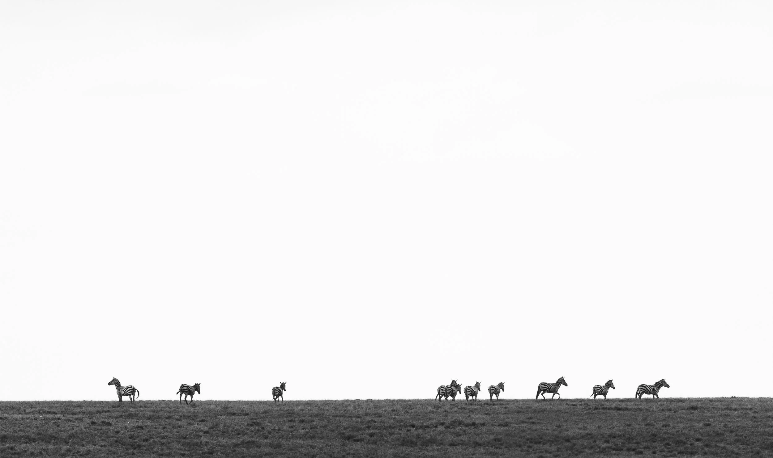 Across the Divide
