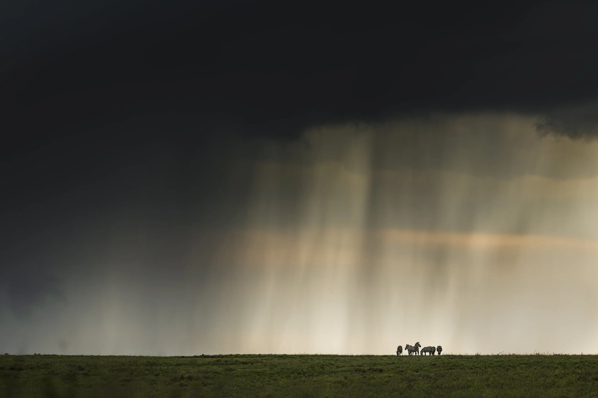 Serengeti Storm