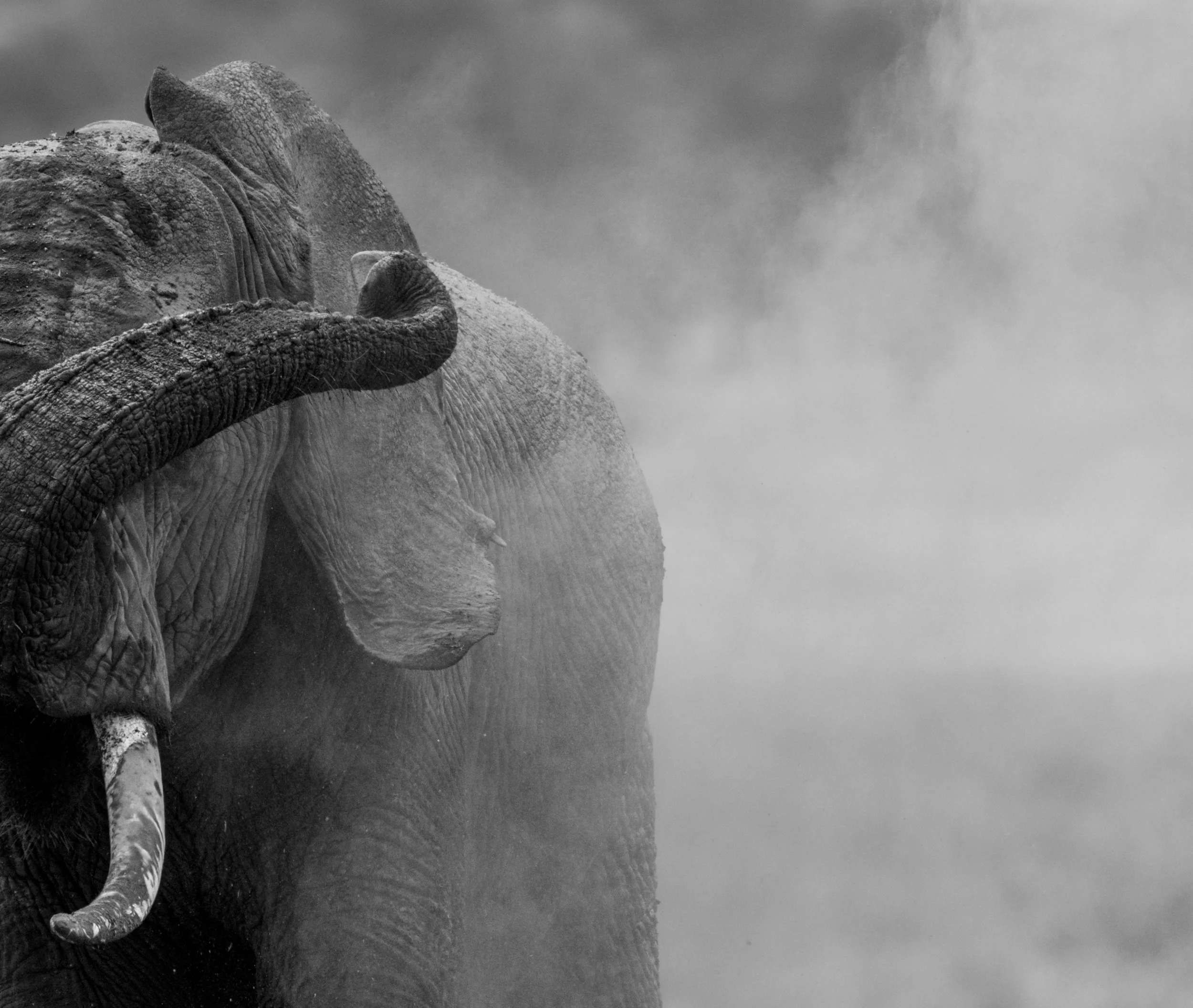 Into Dust