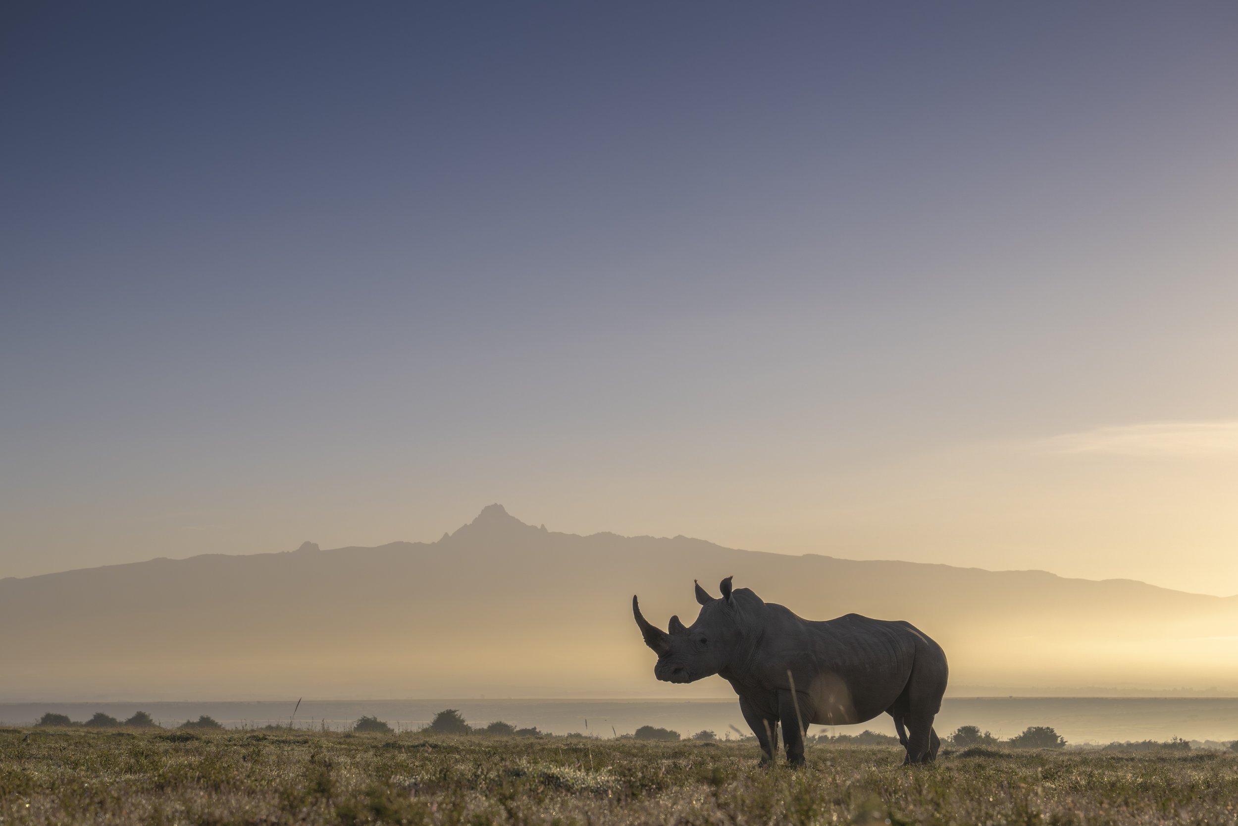 In the Shadow of Mount Kenya