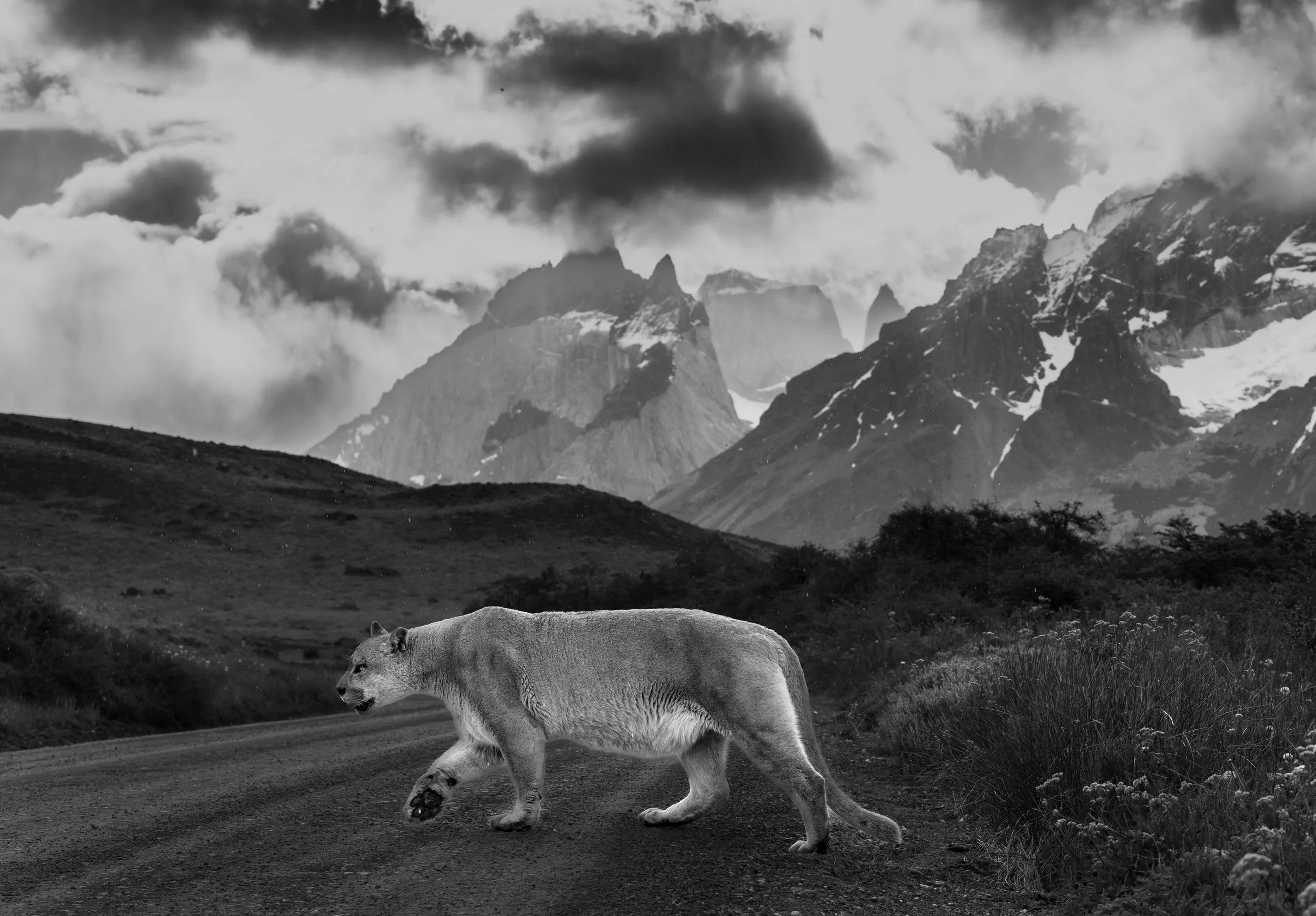 #map-torres-del-paine