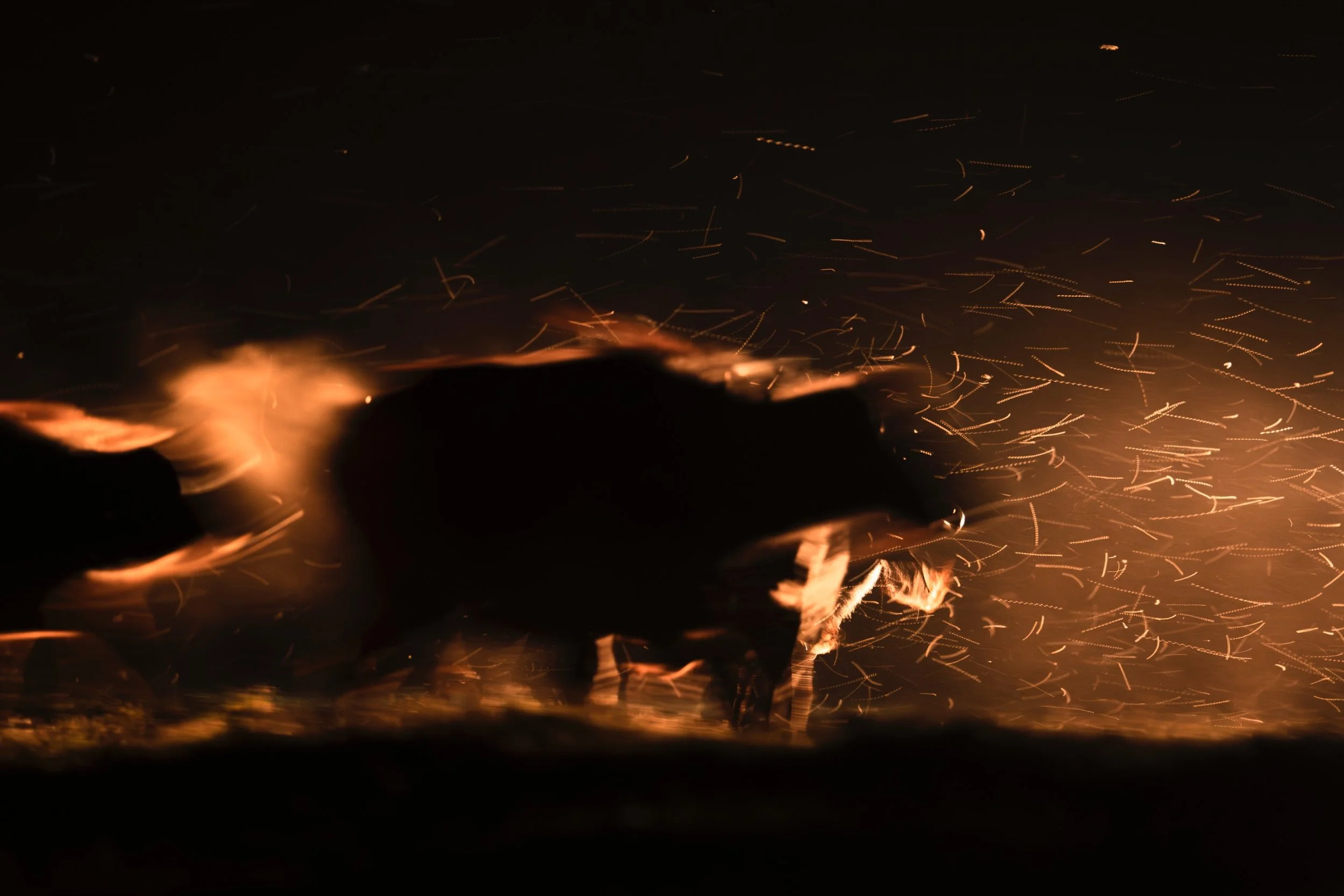 Motion Blur