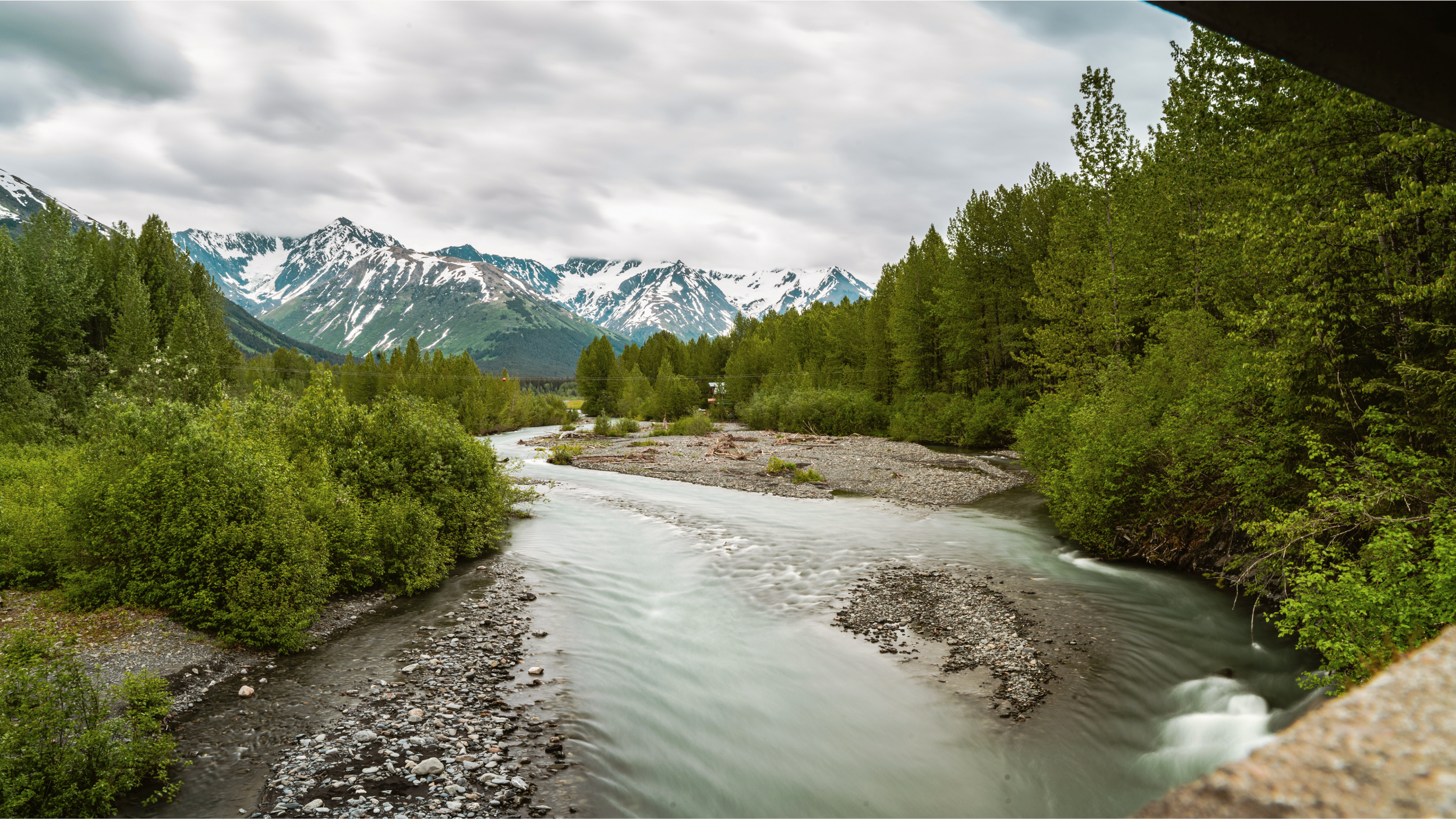 alaska landscape, dog sitting anchorage