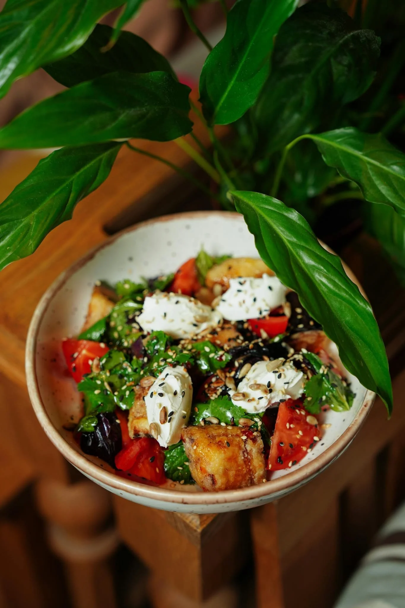 Warm salad with eggplant, peppers and burrata