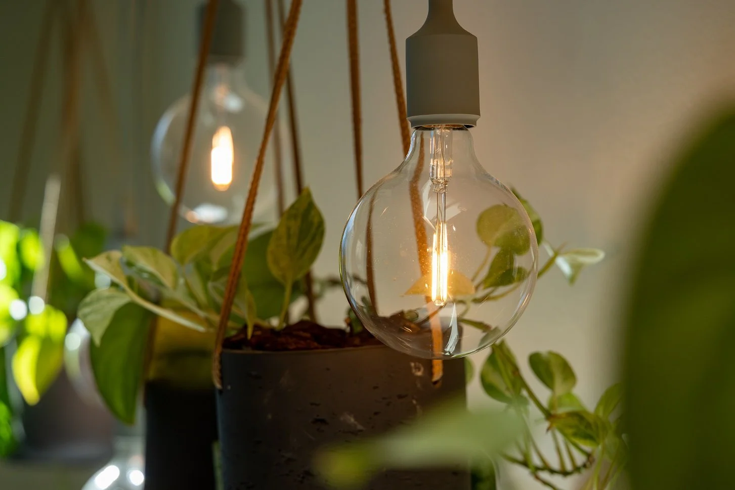Ampoule suspendue à filament allumée, entourée de plantes vertes en pot, reflétée dans un miroir, baignée d’une lumière chaude et naturelle.
