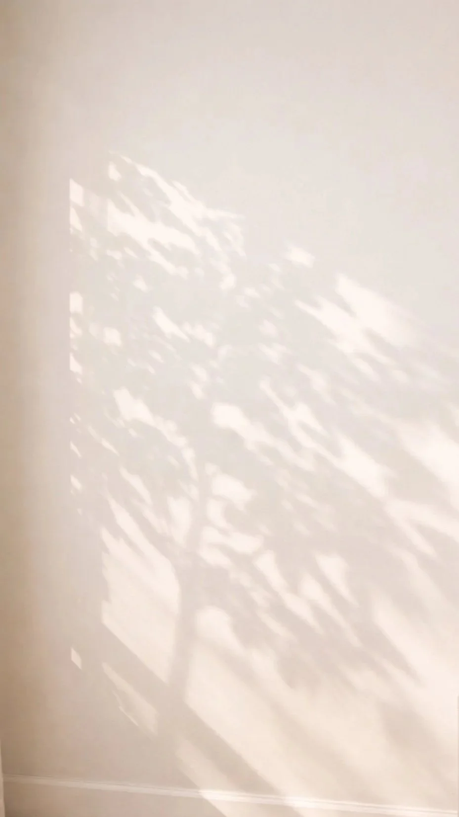 Ombres de feuillage projetées sur un mur beige par la lumière du jour, créant un motif doux et mouvant.