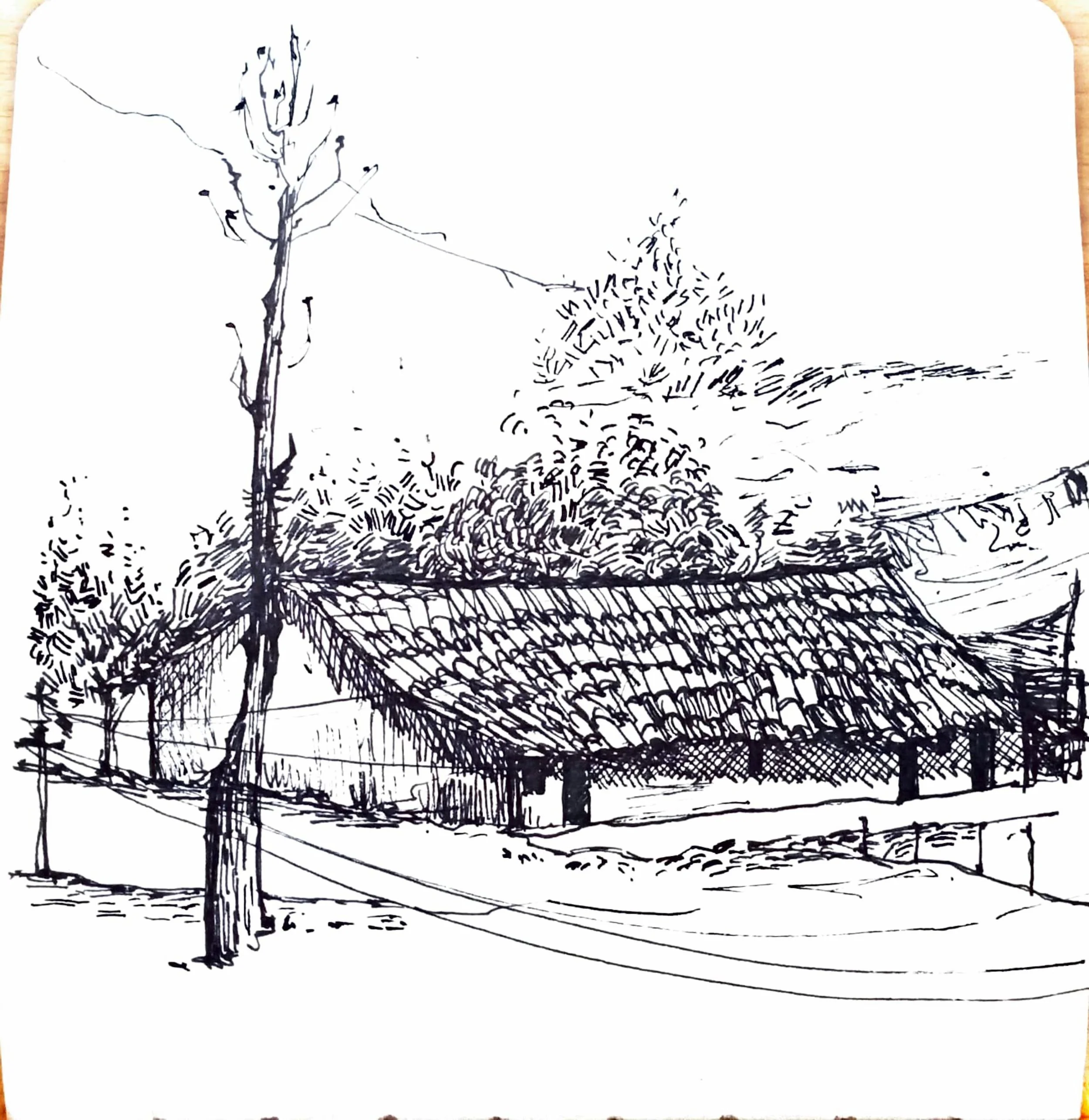 A black and white sketch of a landscape with a tree on the left, bushes in the middle, and a fence on the right, all rendered in a loose, illustrative style.