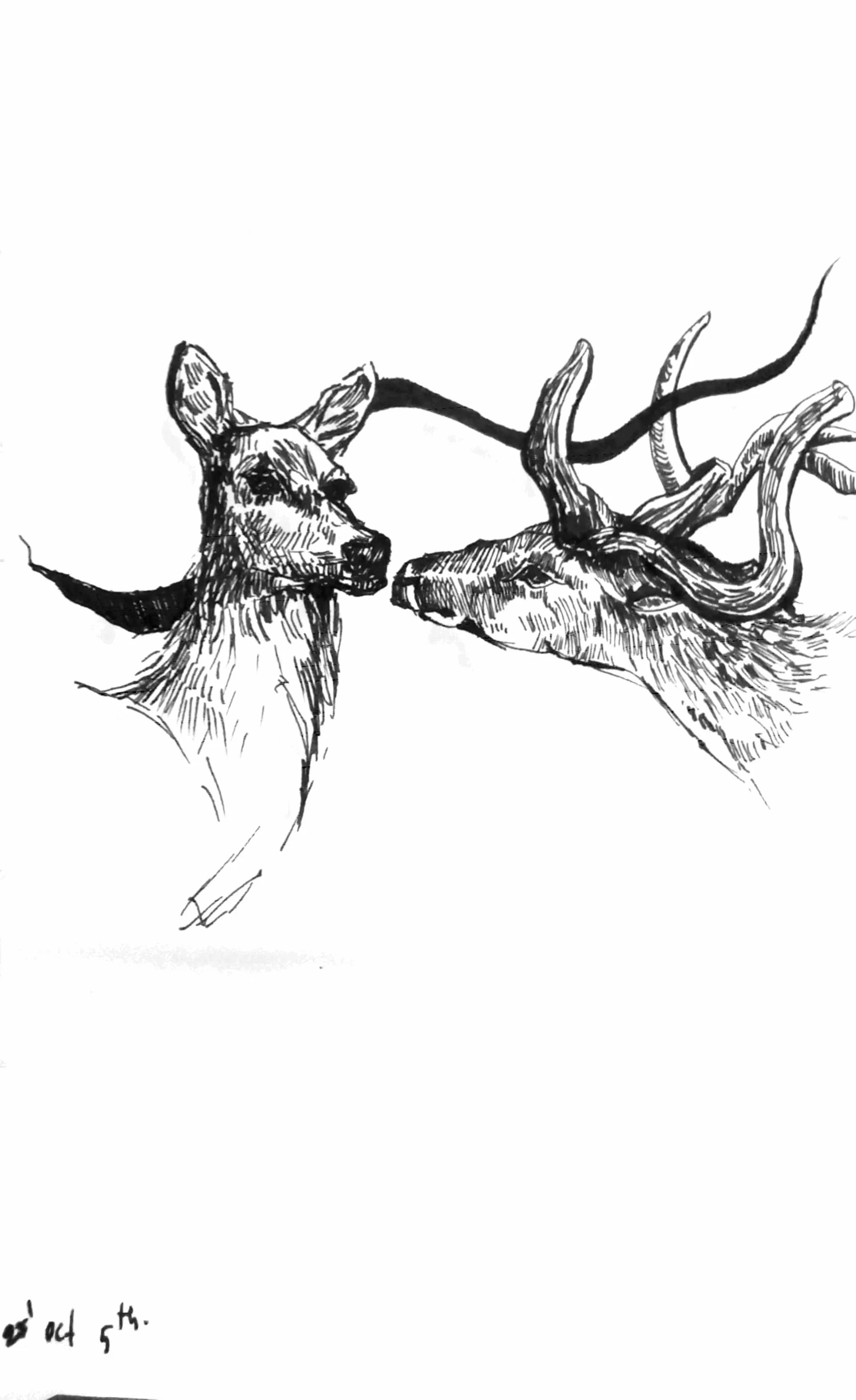 INKTOBER-images-3.jpg