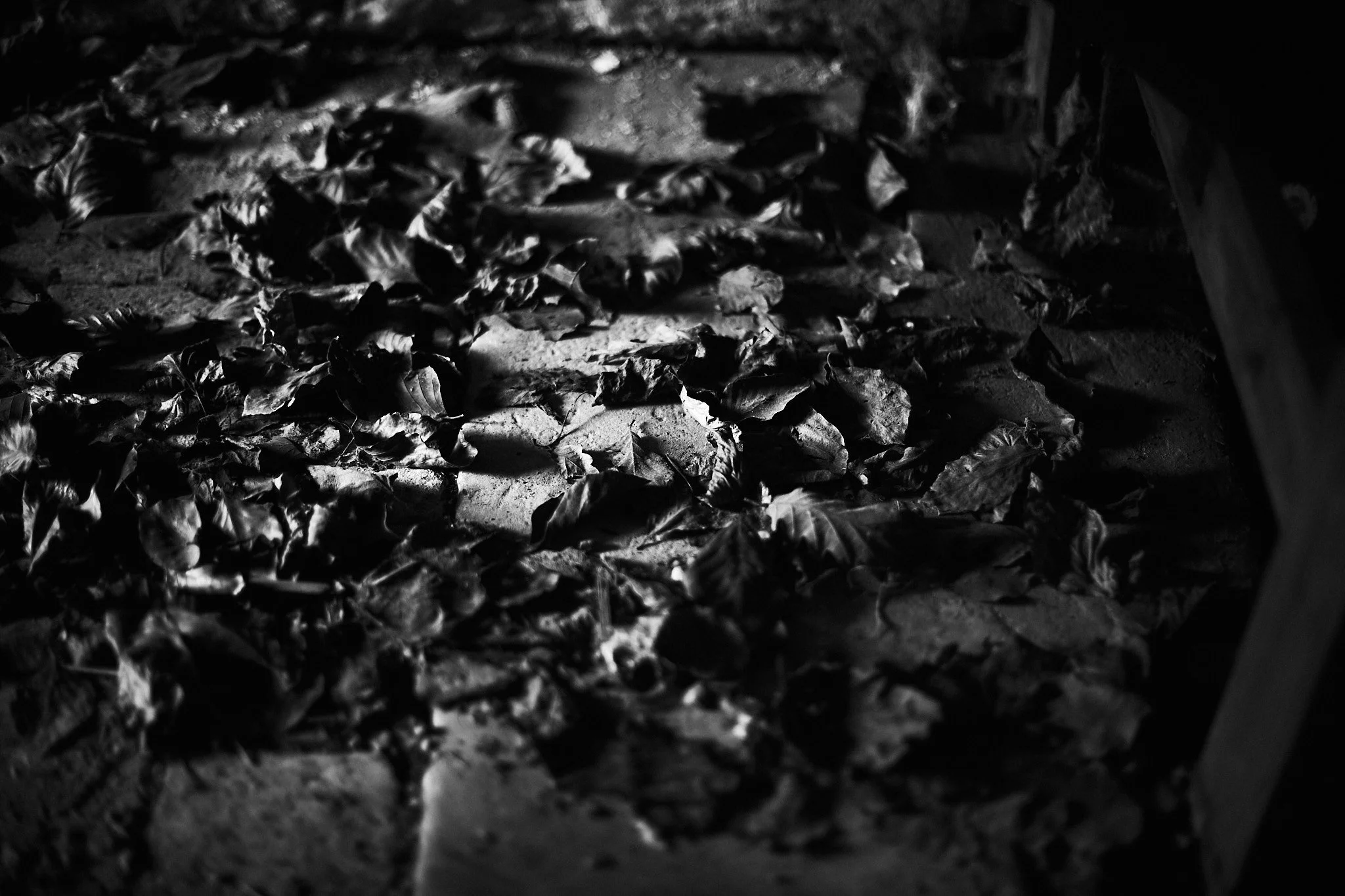 Beningbrough Hall… Shed