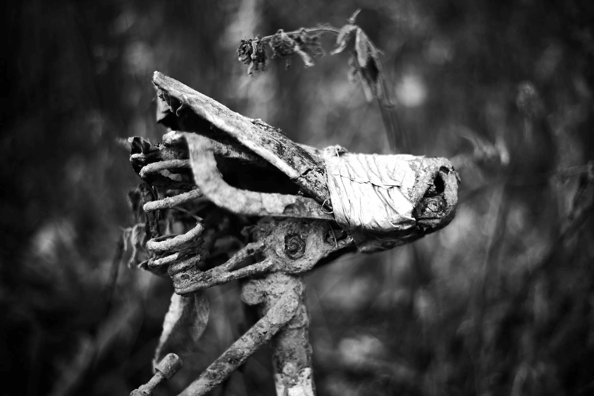 The rusty old bike. 