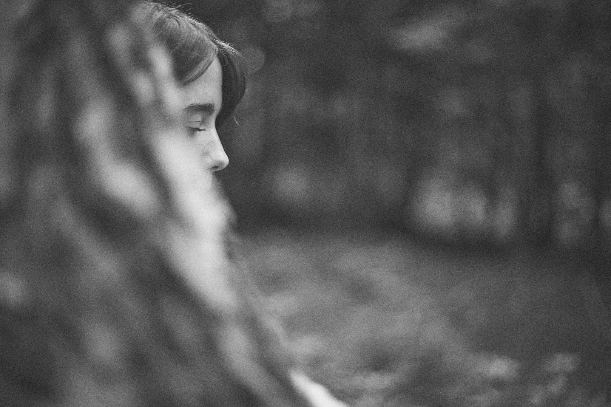 Into the woods we go…