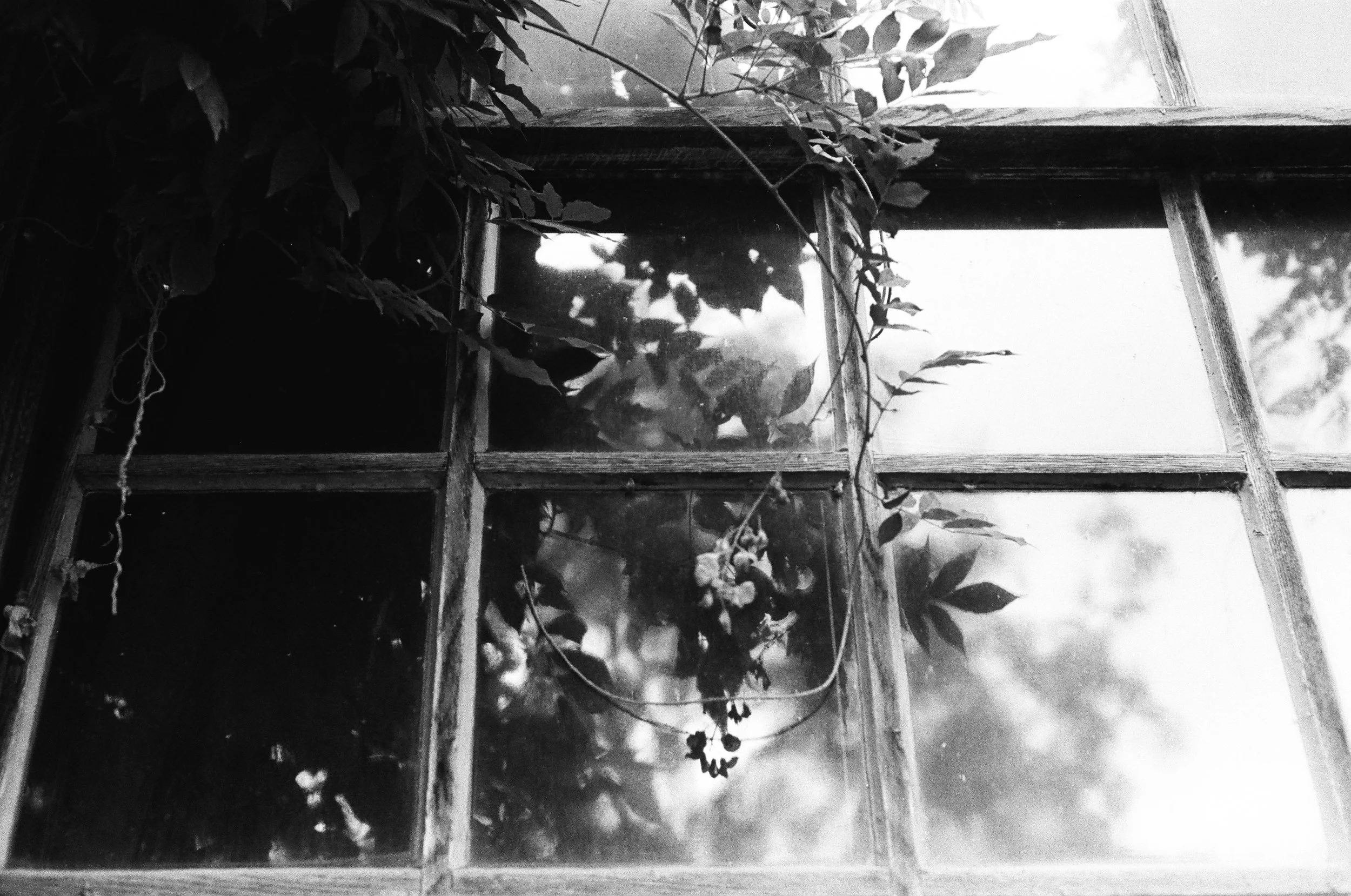 Film…