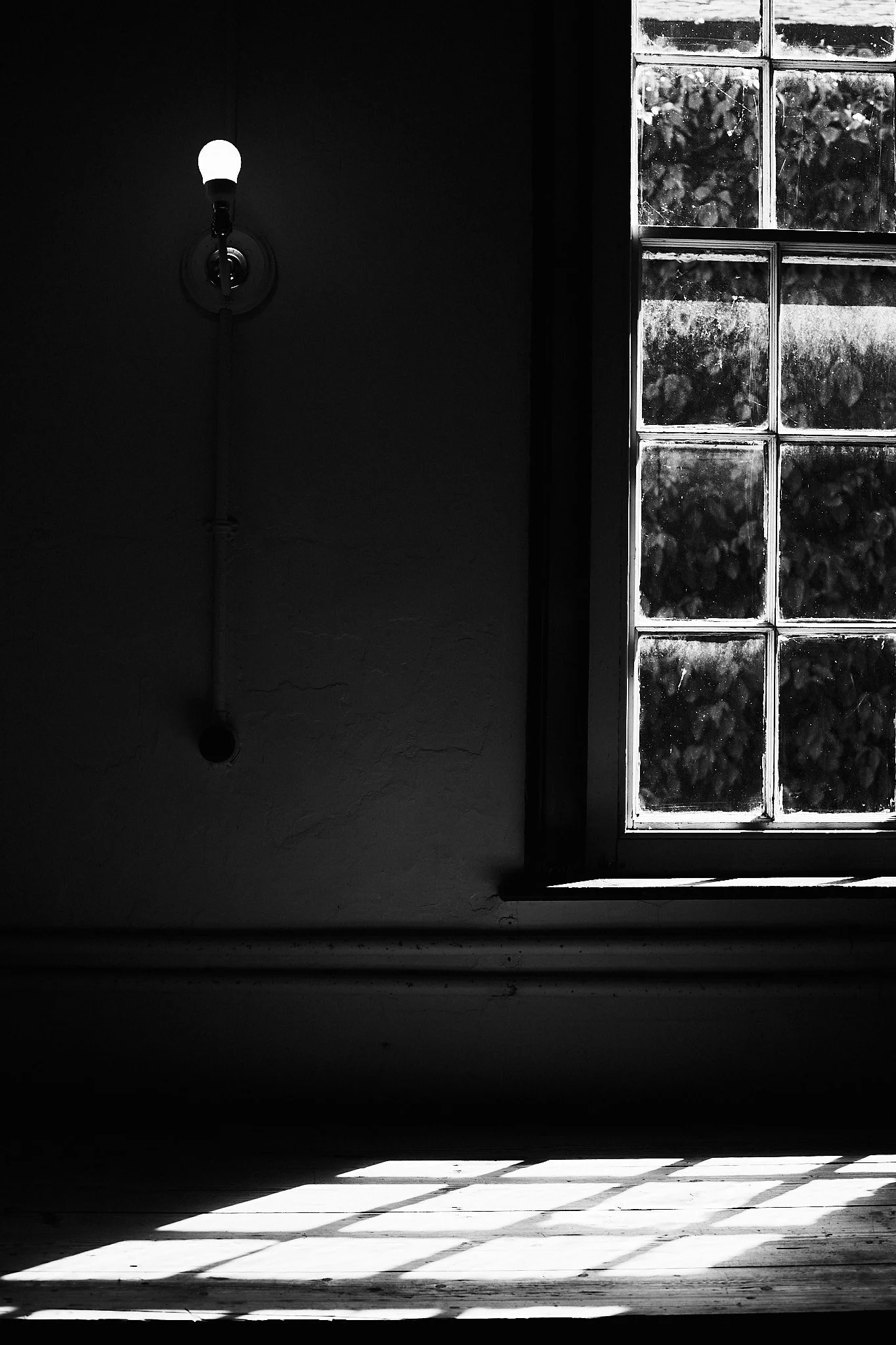 _P8A0765.jpg