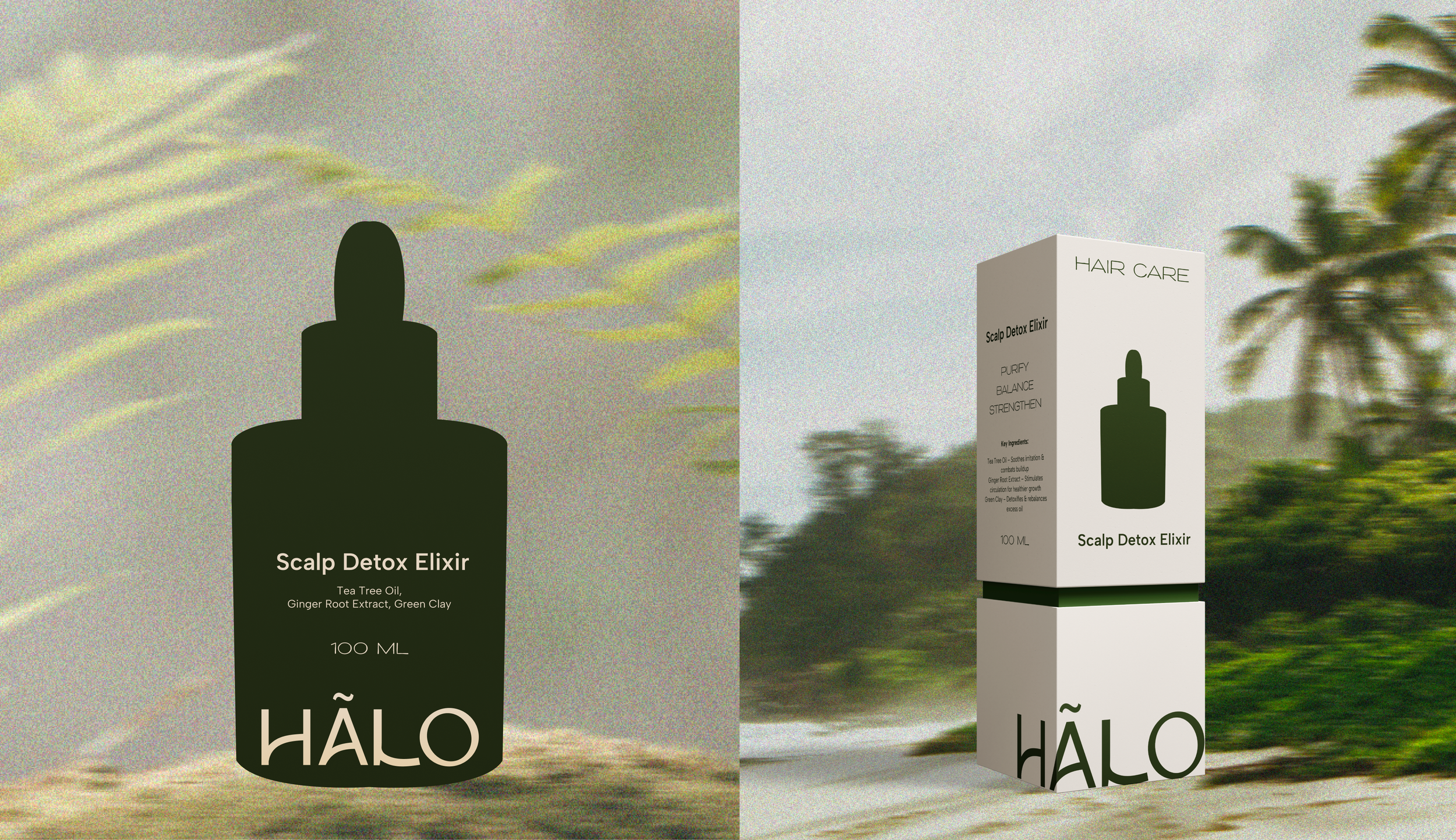 behance 01.png
