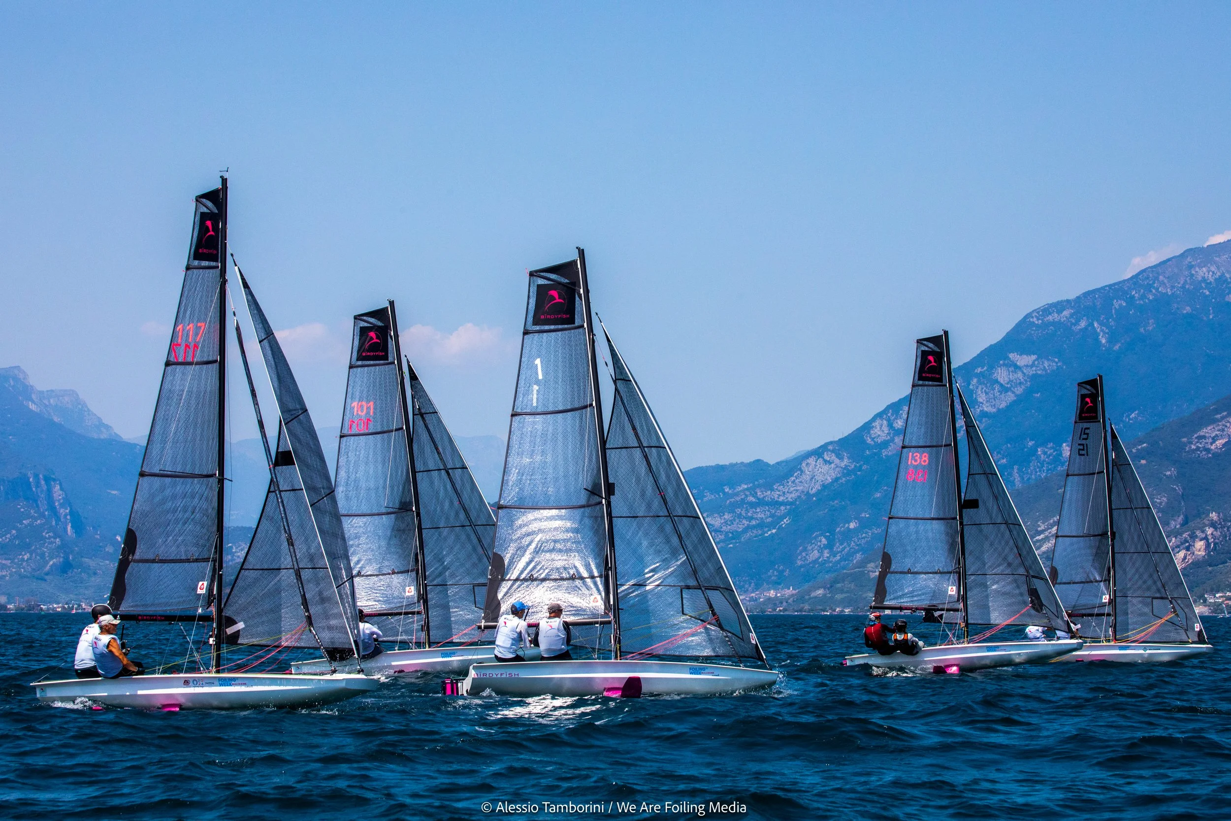Multiple sailboats with black sails featuring pink branding, racing on a large body of water with mountains in the background under a clear blue sky.