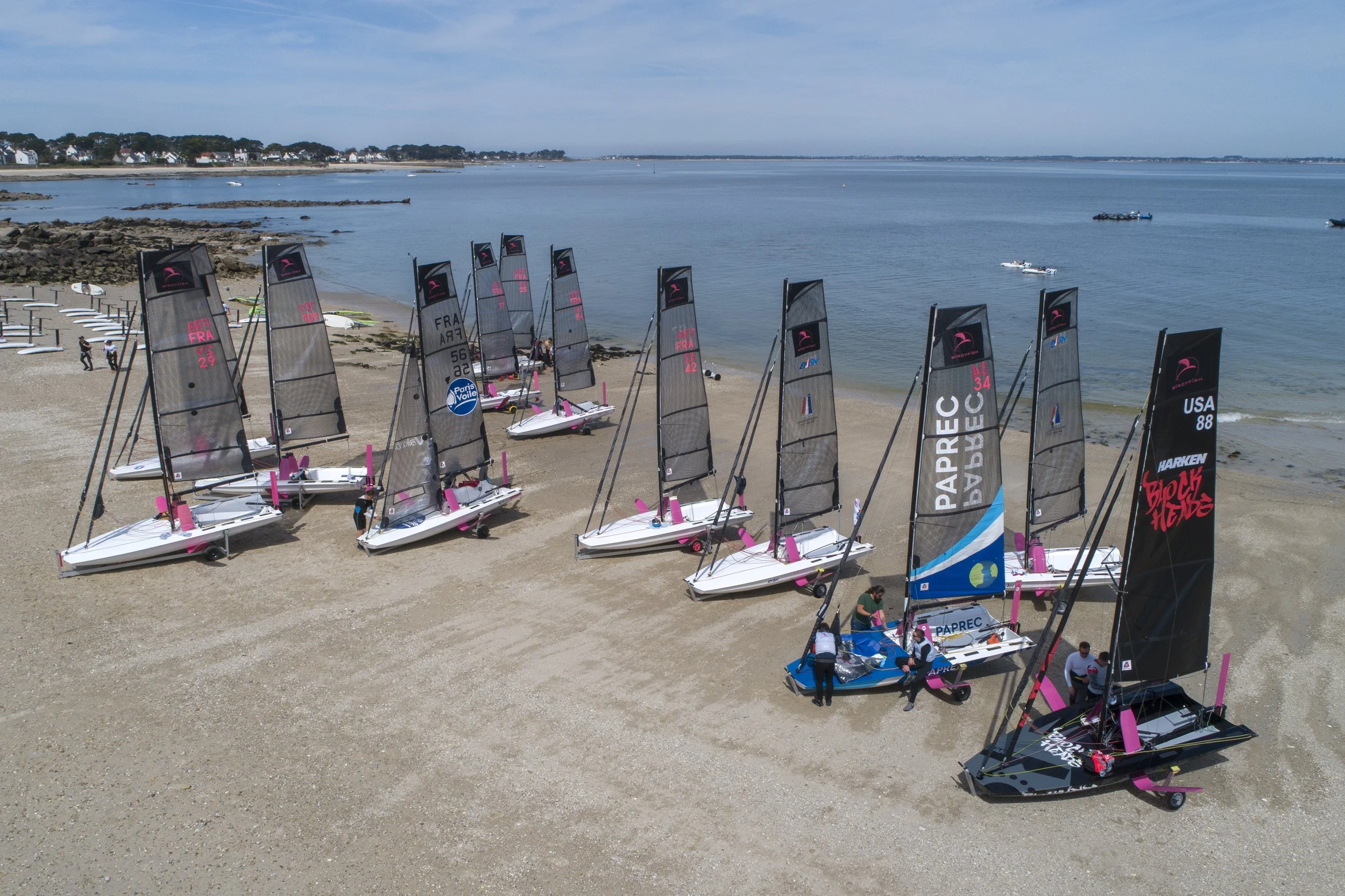 A row of small sailboats with black and pink sails docked on a sandy beach, with a calm body of water and houses on the distant shoreline under a partly cloudy sky.