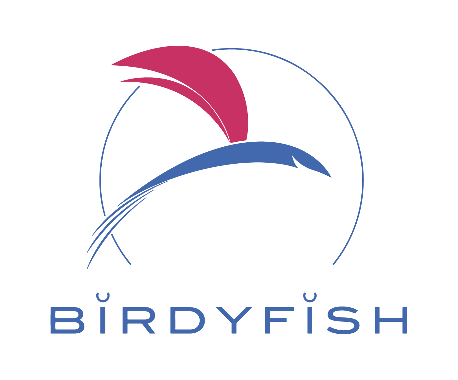 A circular diagram with stylized blue and pink bird-like shapes, and the word 'BIRDYFISH' written below in blue capital letters.